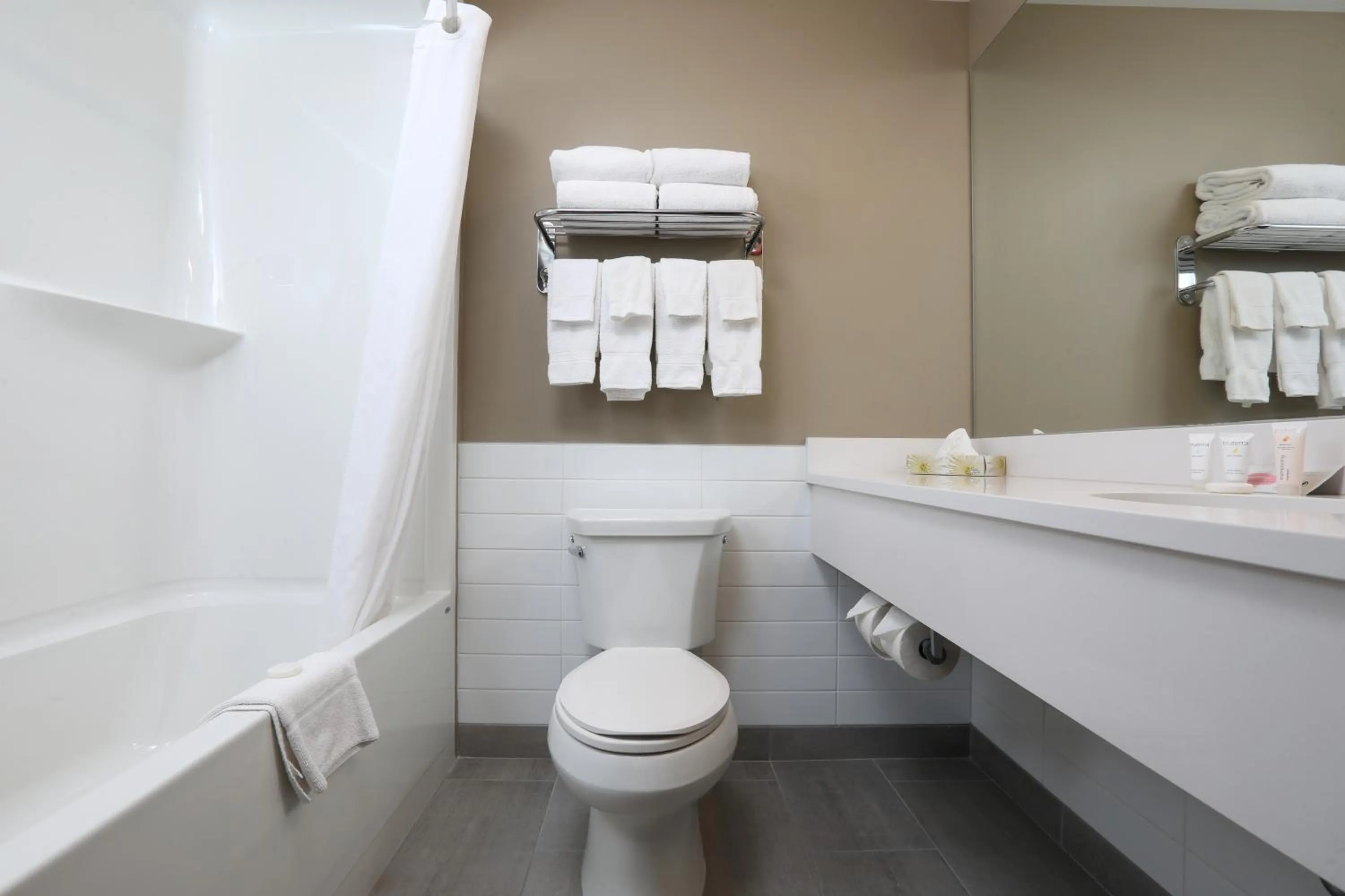 Toilet in Canad Inns Destination Centre Windsor Park