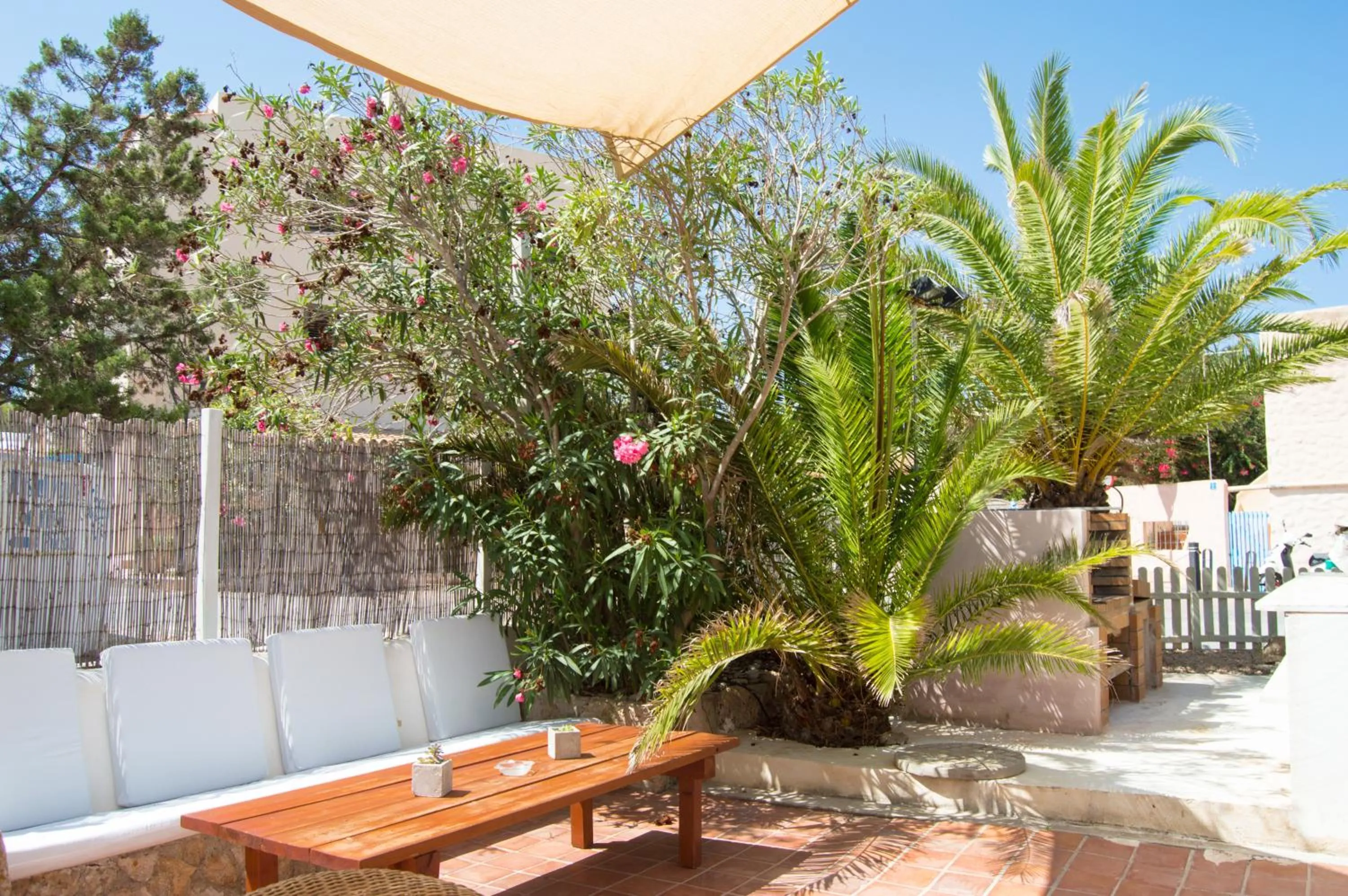 Restaurant/places to eat in Hostal Mayans