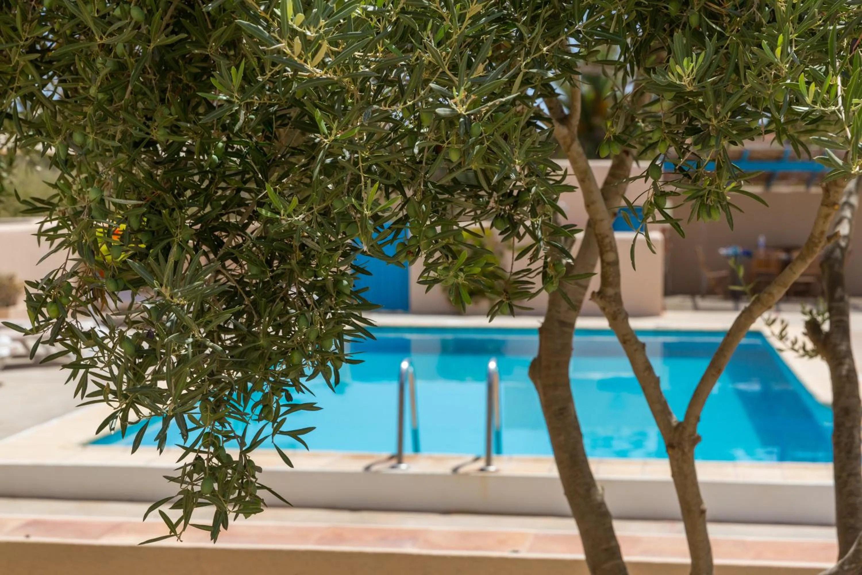 Other in Hostal Mayans