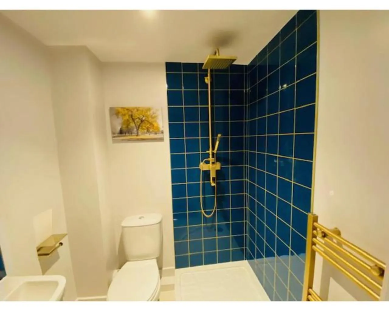 Bathroom in Townhouse PLUS @ Lower Beth Street Stoke