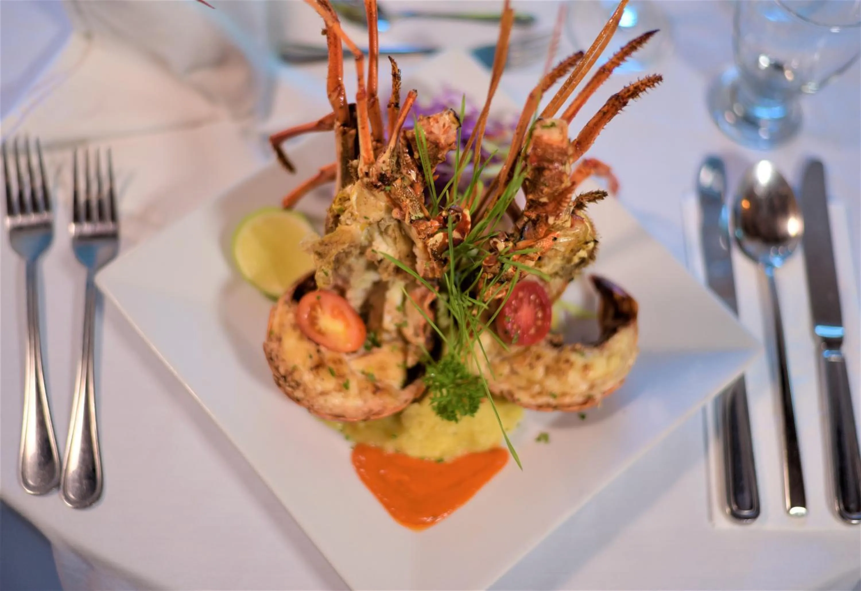 Food and drinks in HOTEL ALKQUIMIA