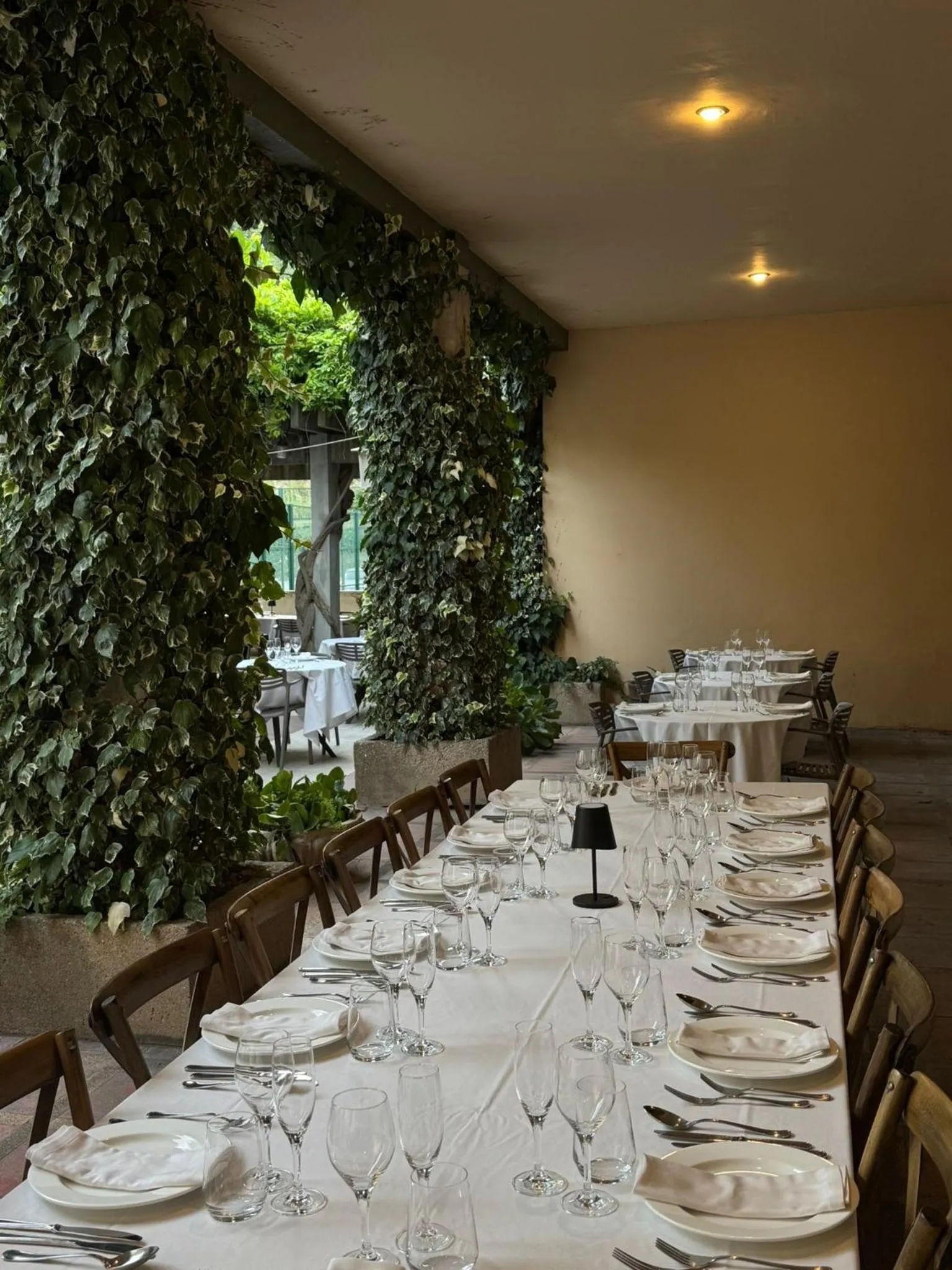 Restaurant/places to eat in Hotel Robert