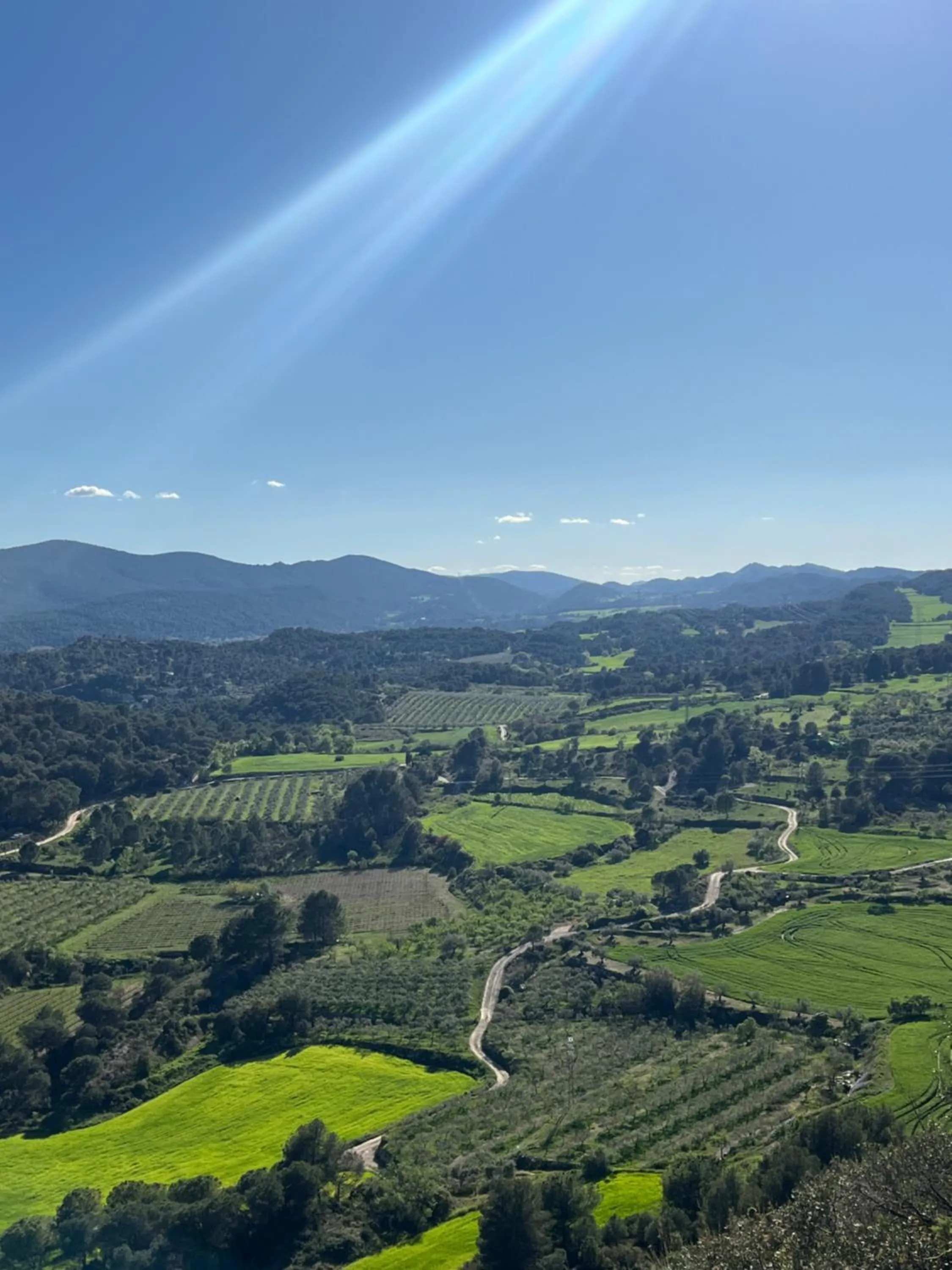 Spring in Hotel Robert