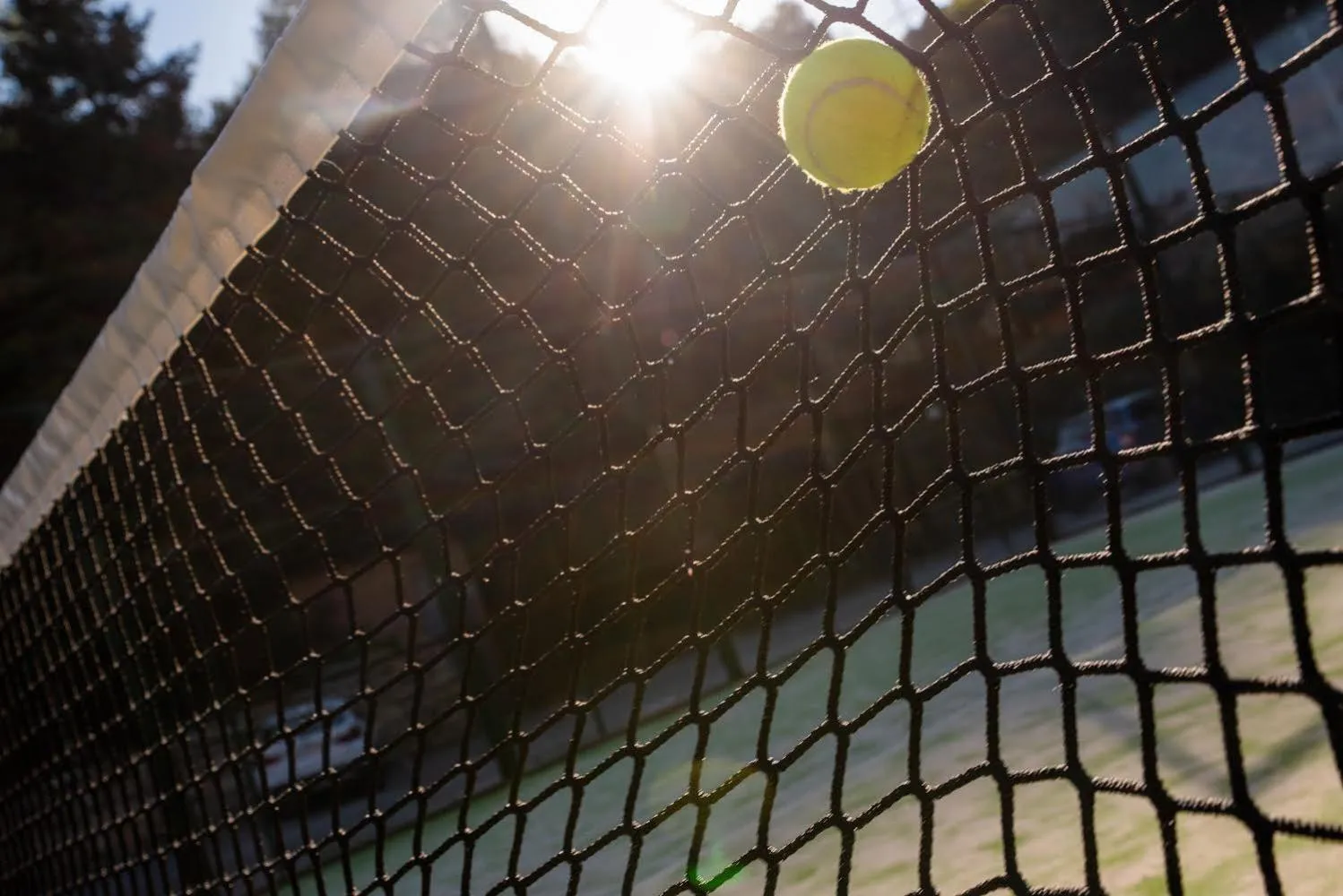 Entertainment in Hotel Robert