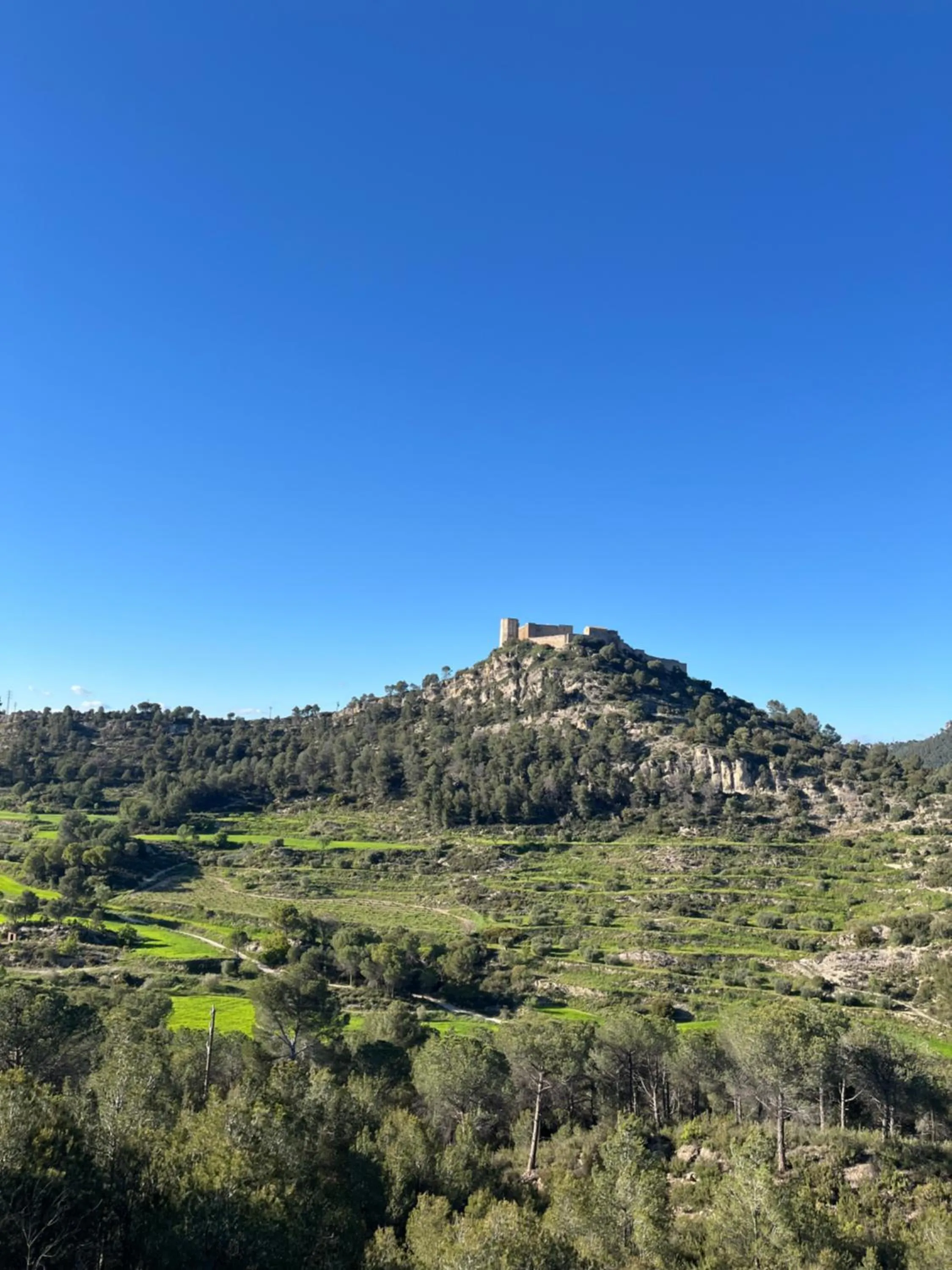 Nearby landmark in Hotel Robert