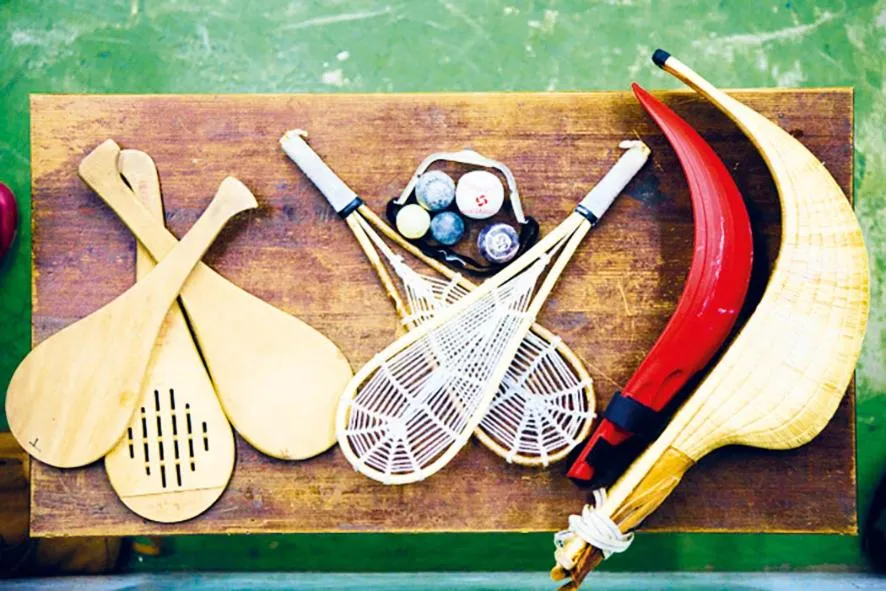 Maison " Elixondoa "