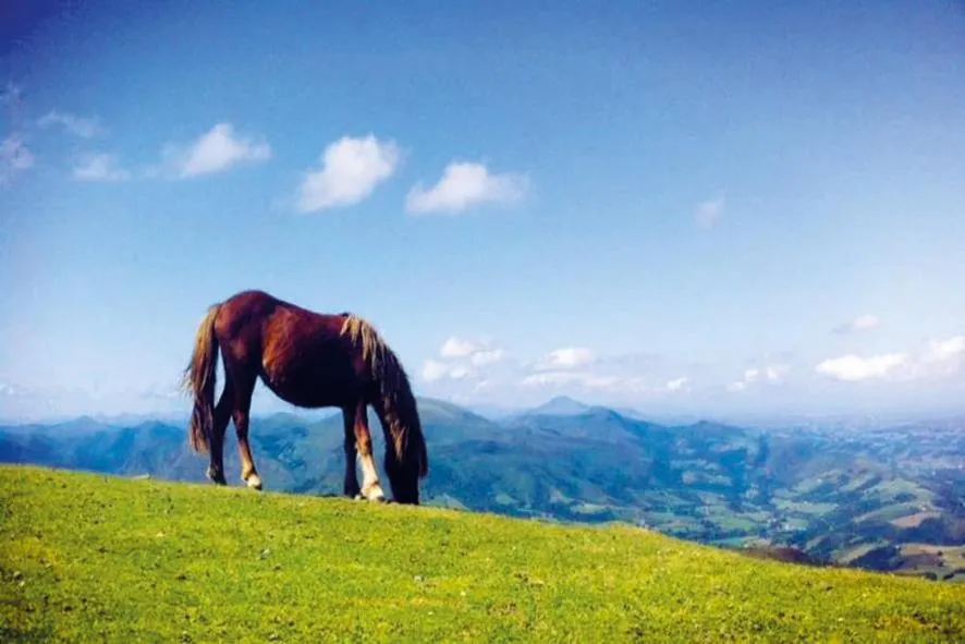 Maison " Elixondoa "