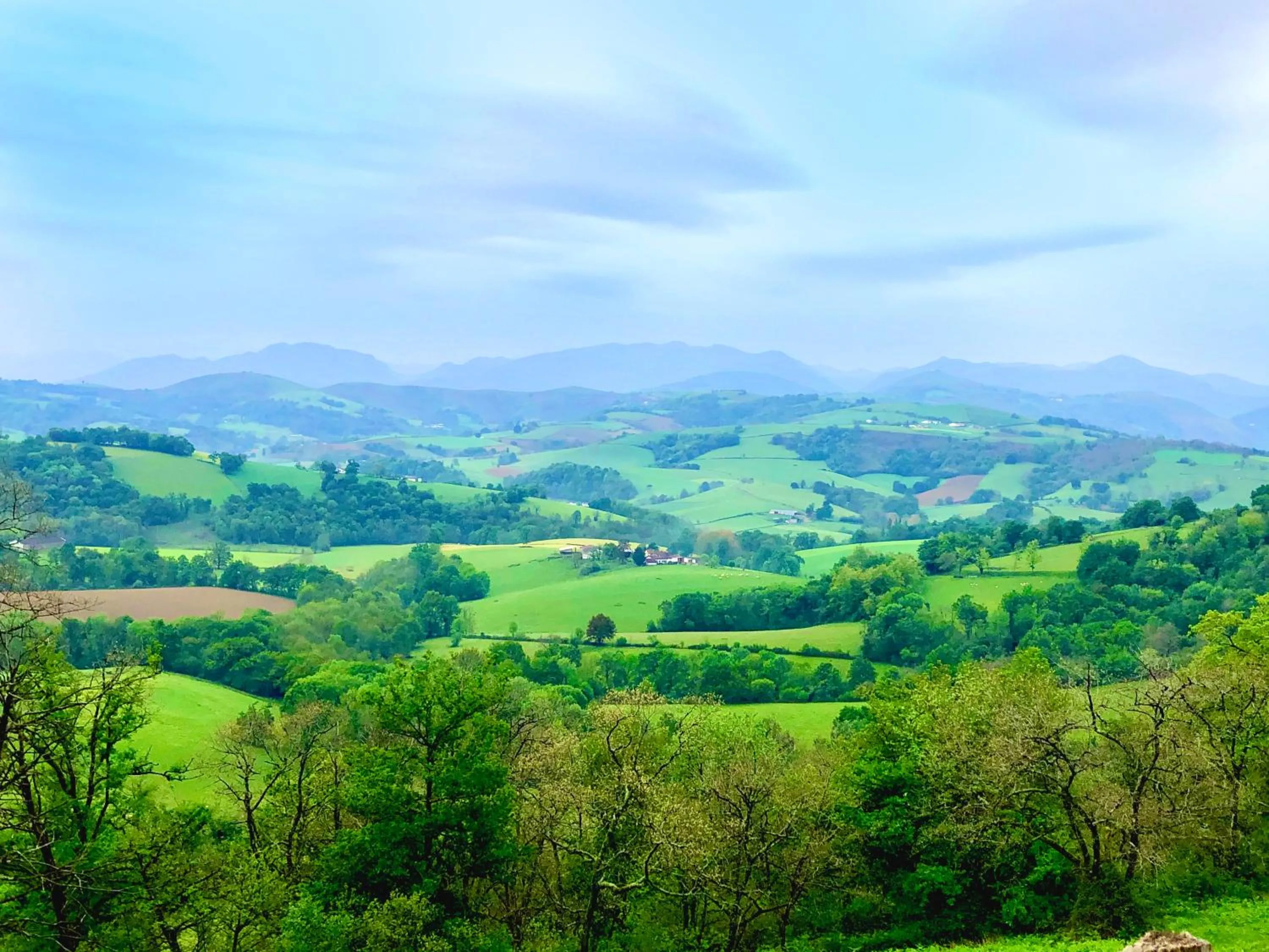 Maison " Elixondoa "