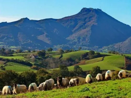 Maison " Elixondoa "