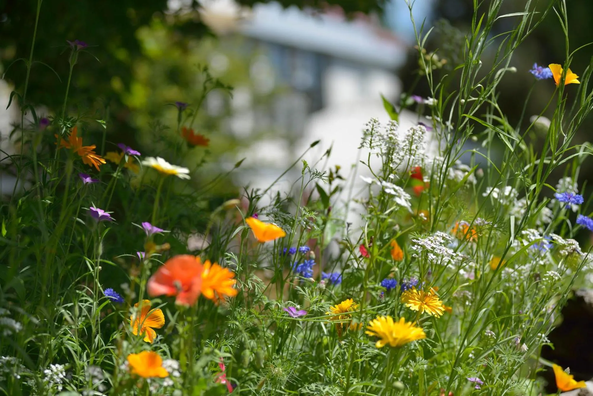 Spring in Hotel Hohe Linde