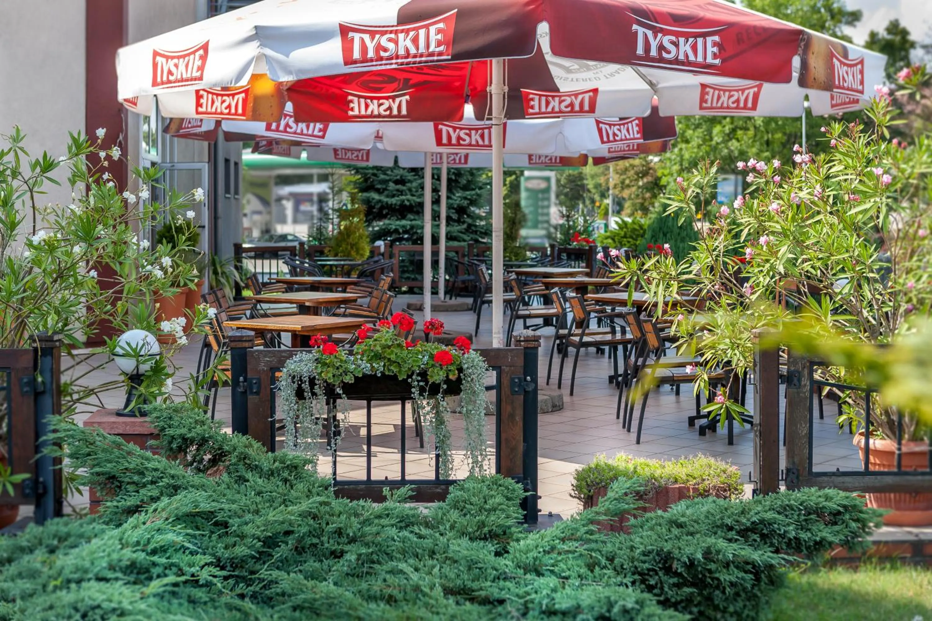 Restaurant/places to eat in Hotel Mikulski