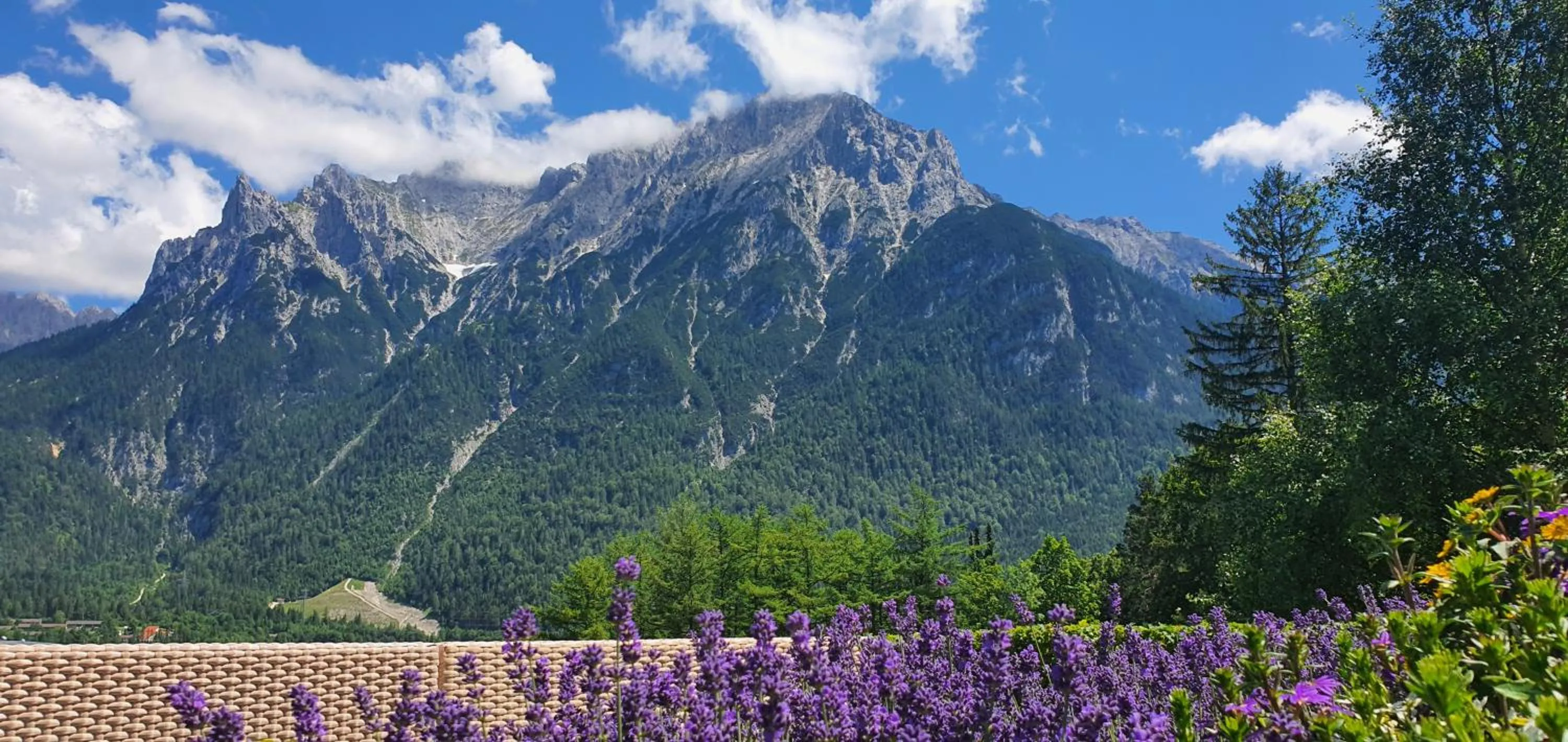 Hotel-Garni Drachenburg