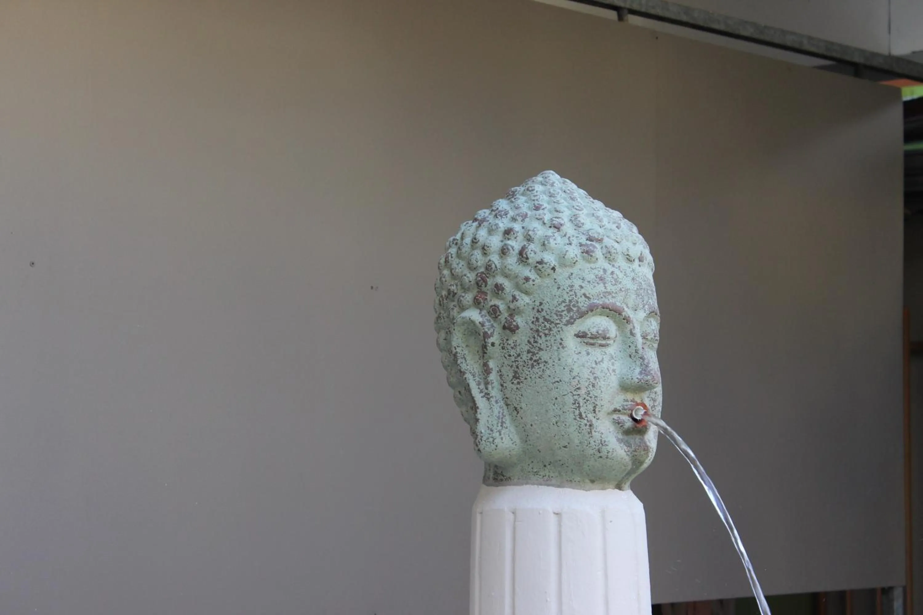 Garden in Sikamifer Tourist Resort