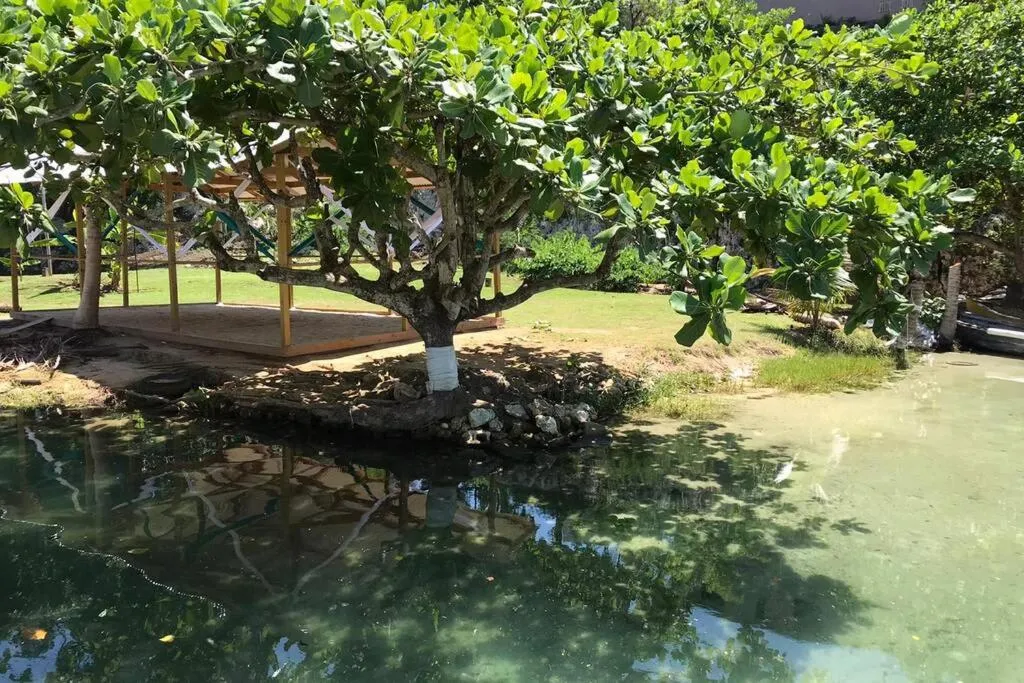 Garden in Contemporary Ocean view 2bed Carib Ocho Rios Condo