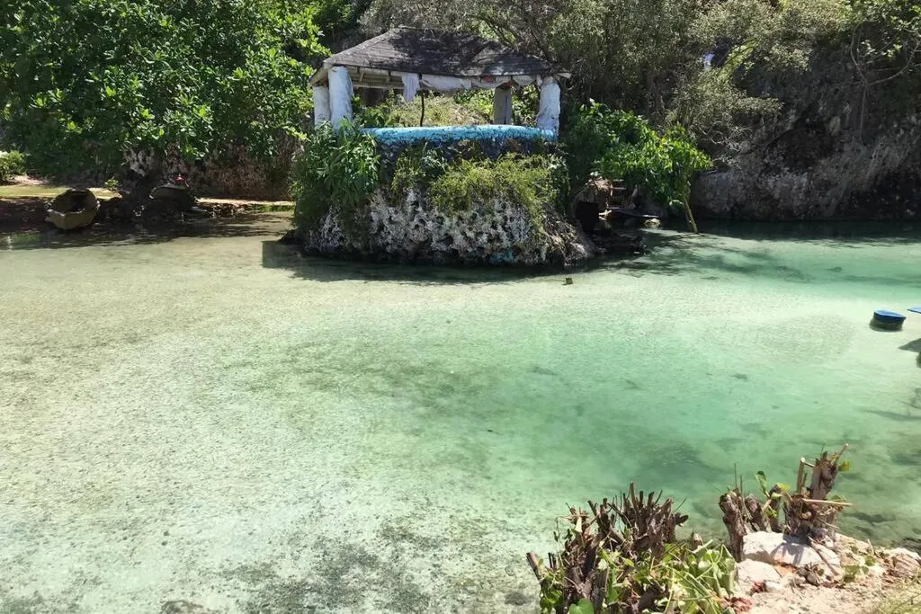 Natural landscape in Contemporary Ocean view 2bed Carib Ocho Rios Condo