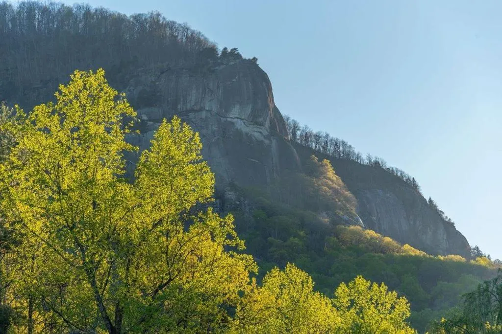 View (from property/room) in Geneva Hotel & Tiki Bar