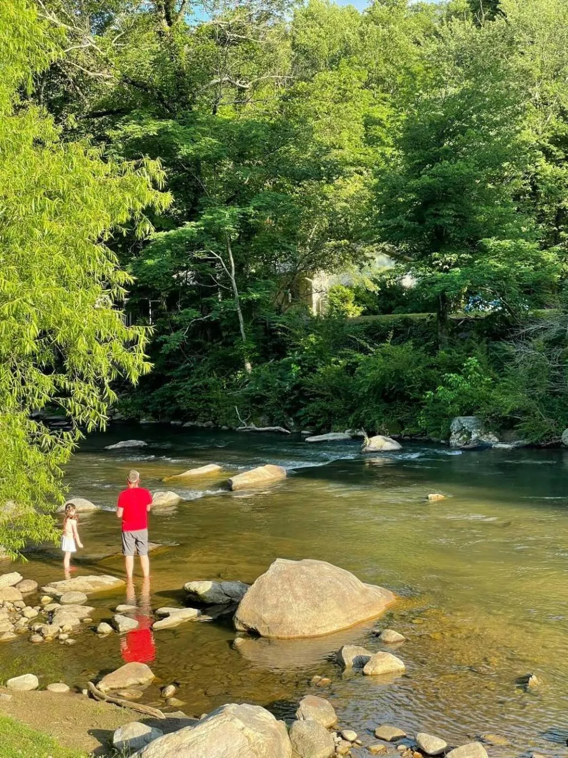 River view in Geneva Hotel & Tiki Bar