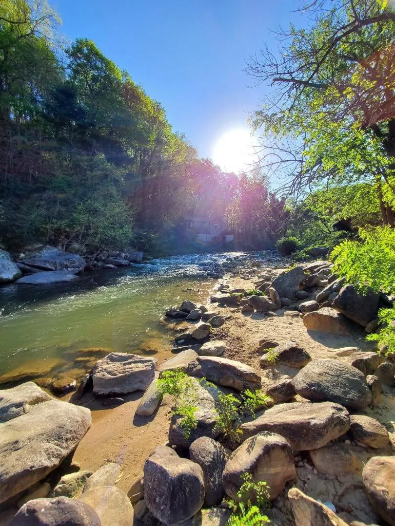 River view in Geneva Hotel & Tiki Bar