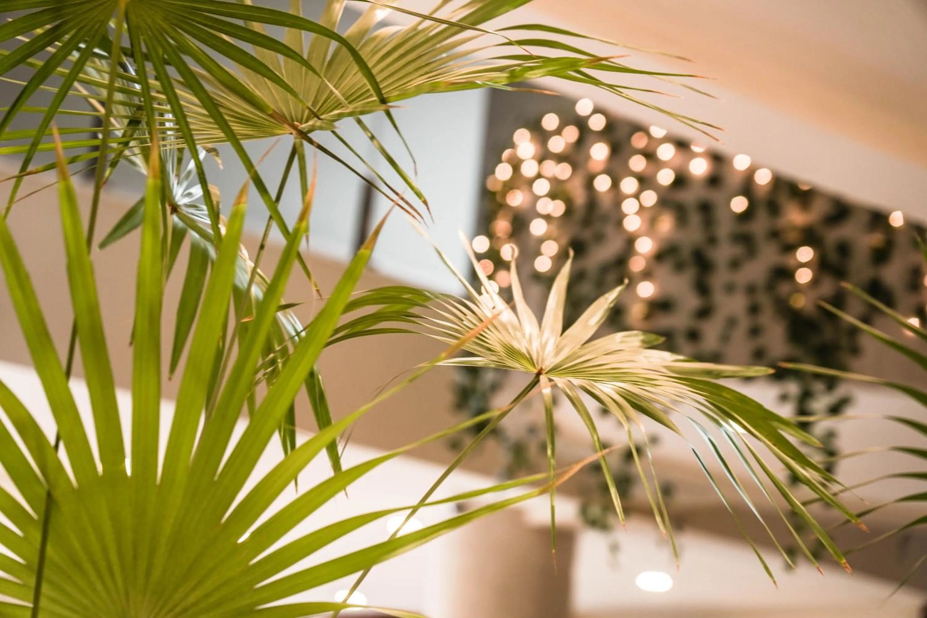 Decorative detail in Chairu Eco Hotel