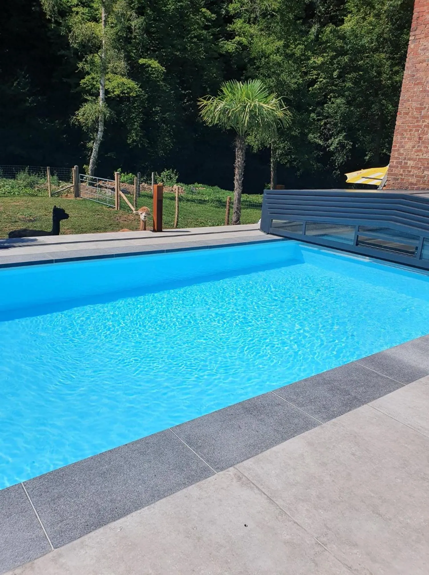 Swimming pool in B&B De l'Aisne