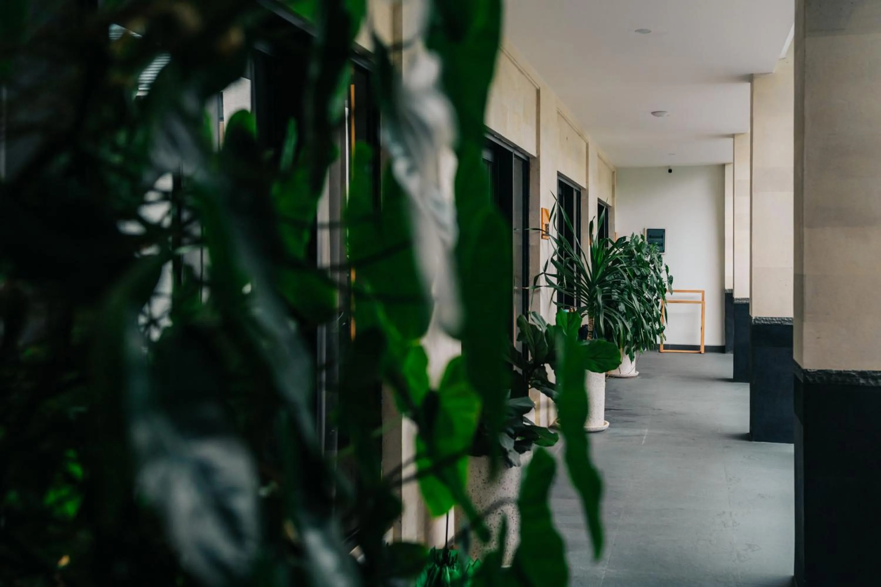 Property building in The Kamare