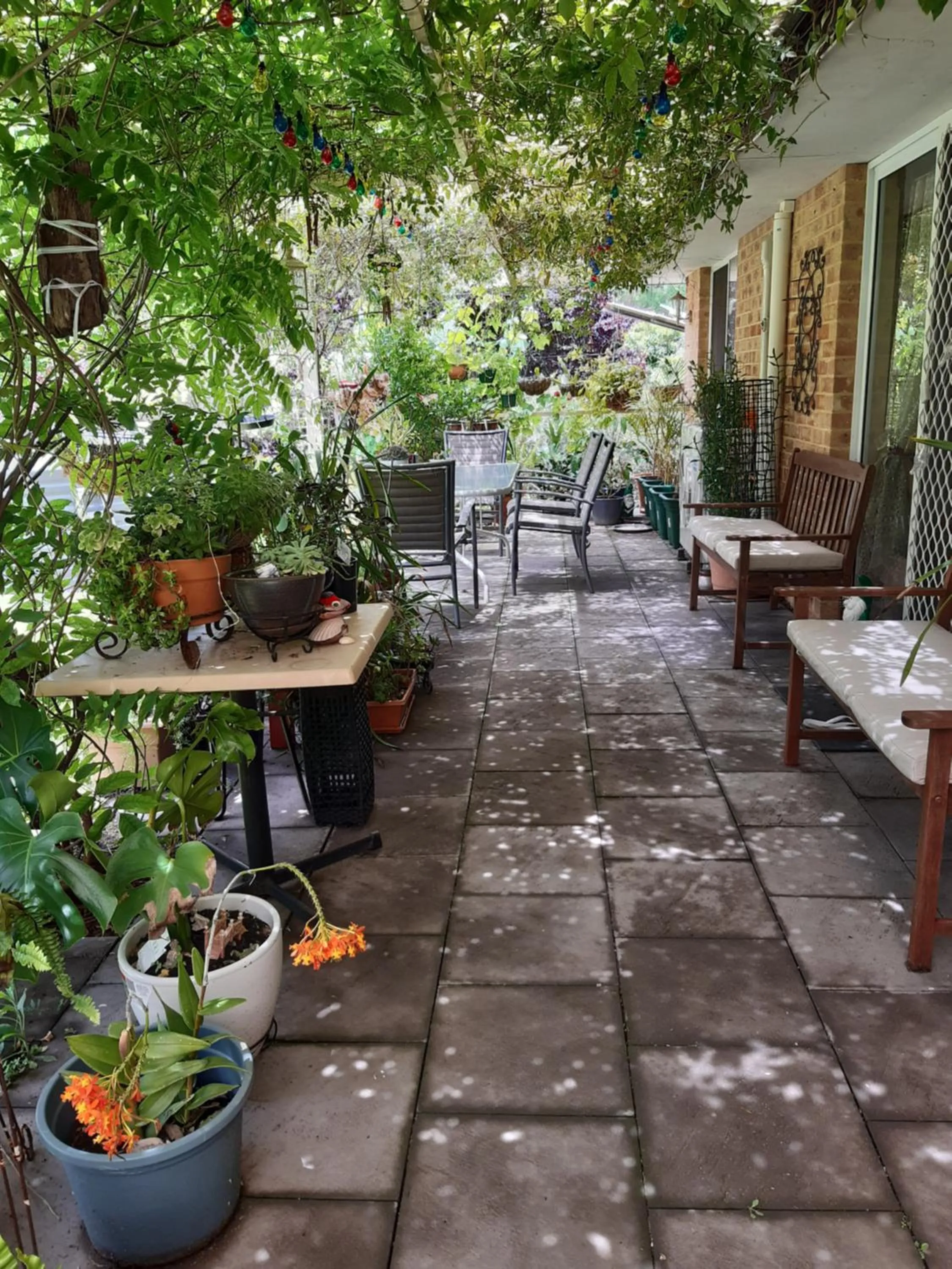 Patio in Mundaring Bed and Breakfast