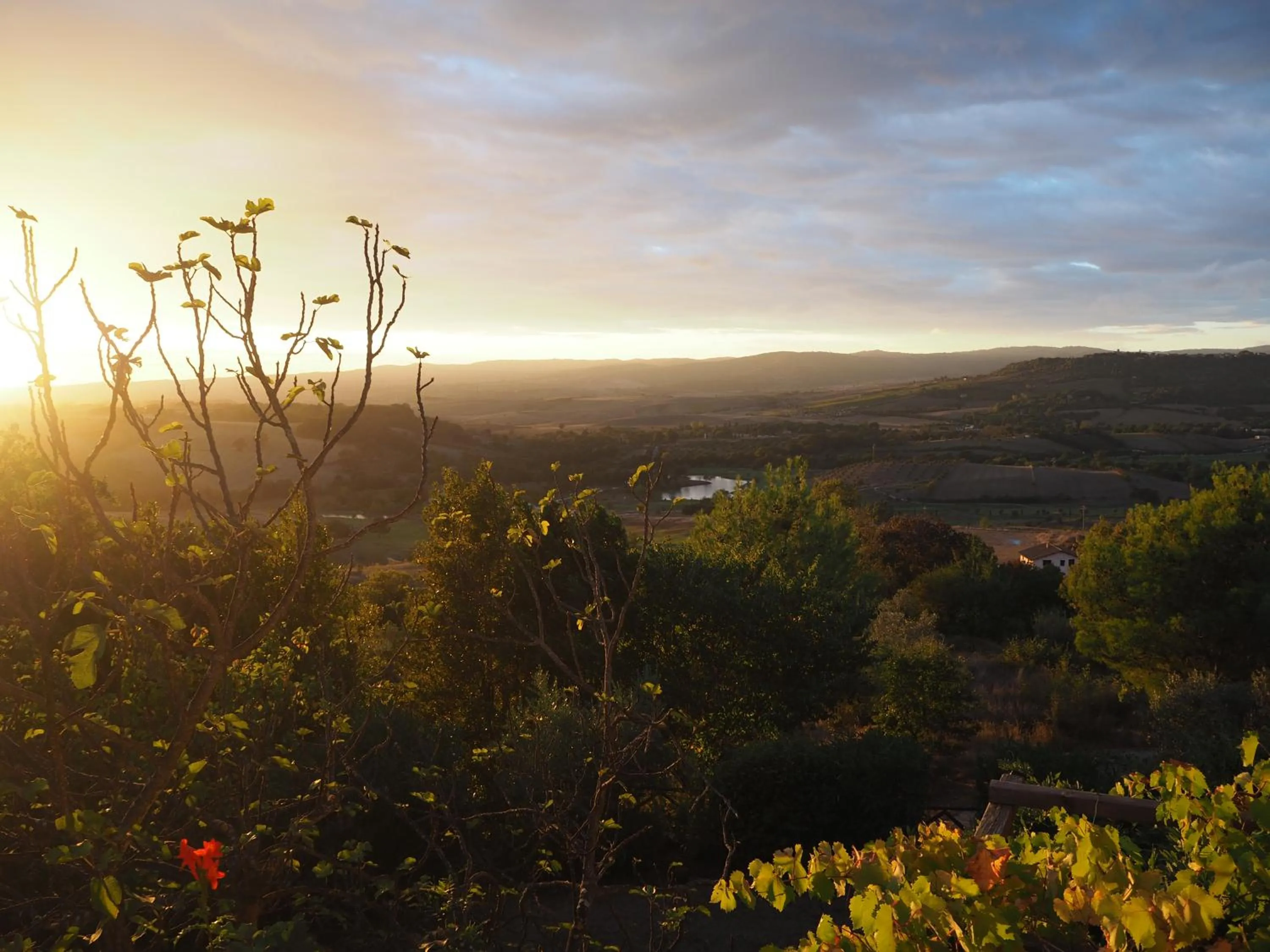 View (from property/room) in Le Querciolaie Monte Cavallo - upper apartment