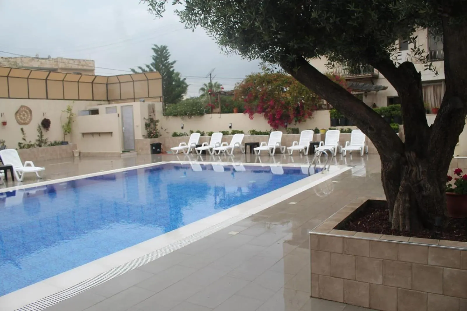 Swimming pool in Salome Hotel