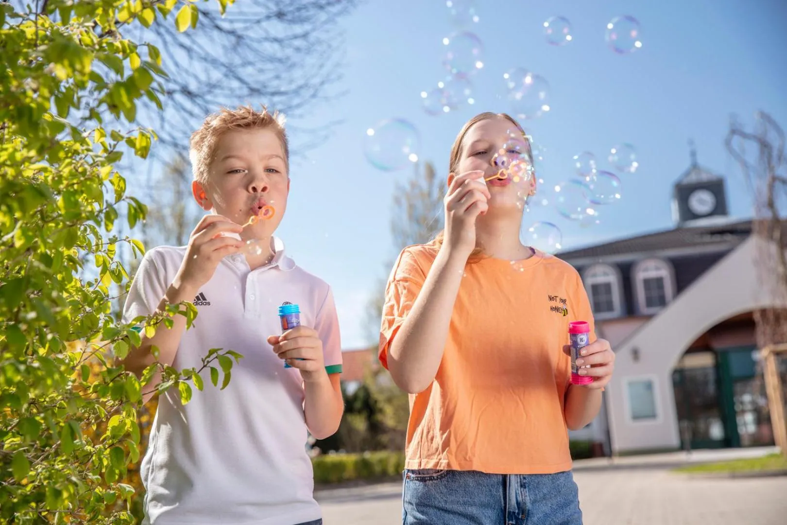 Activities in BEECH Resort Fleesensee