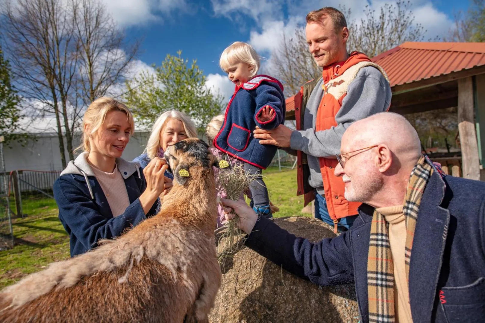 Animals in BEECH Resort Fleesensee