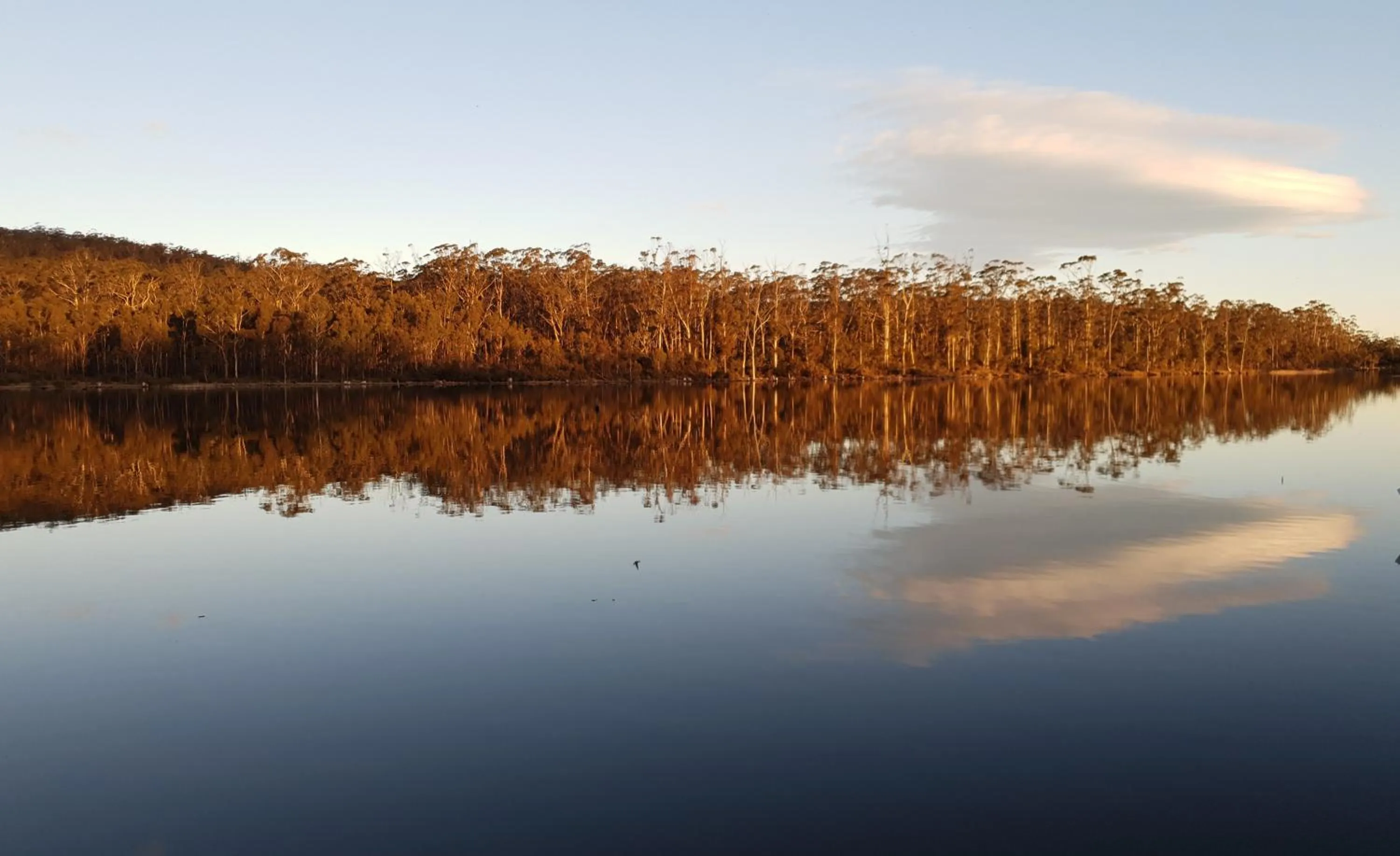 Lake view in Lake Yalleena Nature Retreat