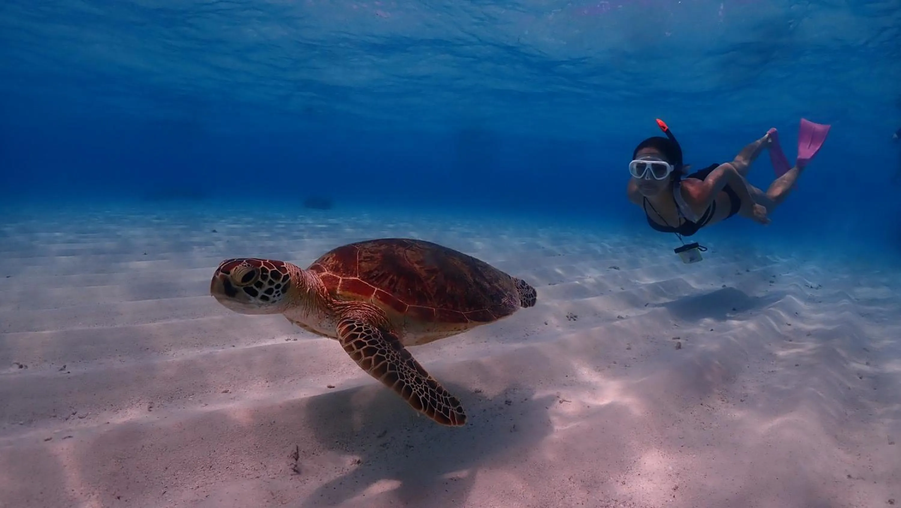 Snorkeling in HOTEL Fit in Miyakojima