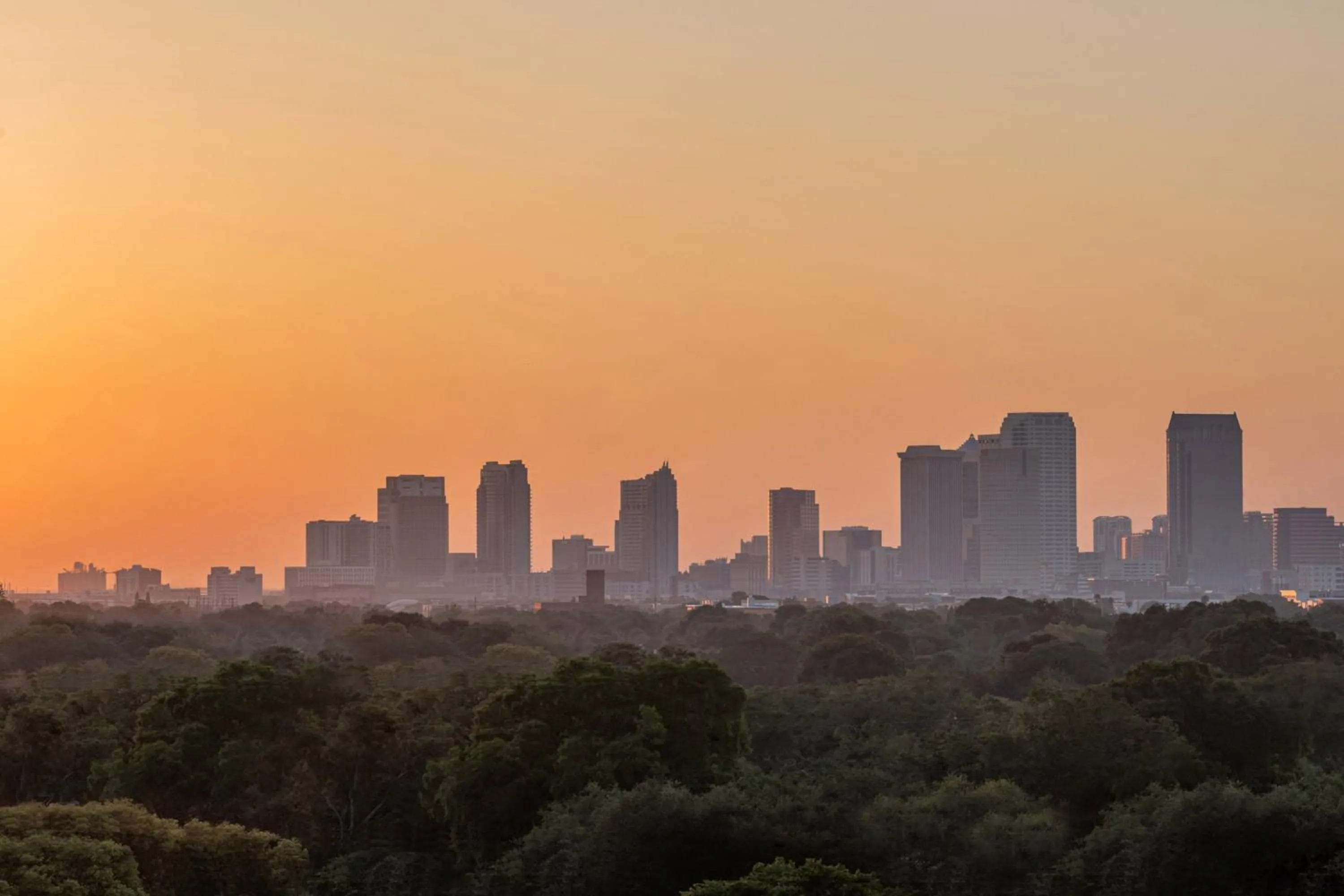 View (from property/room) in Element Tampa Midtown