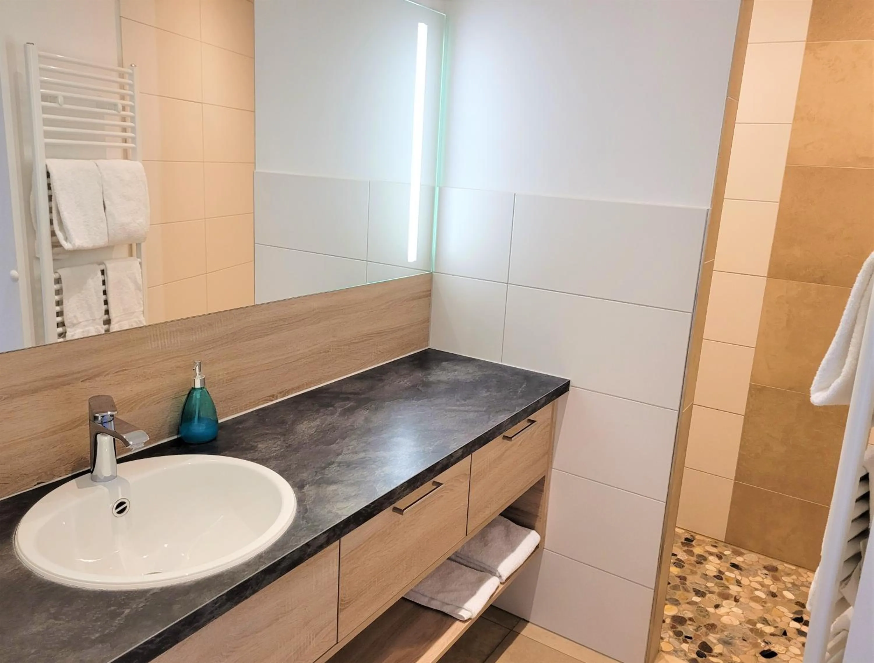 Shower in Hotel Rössle