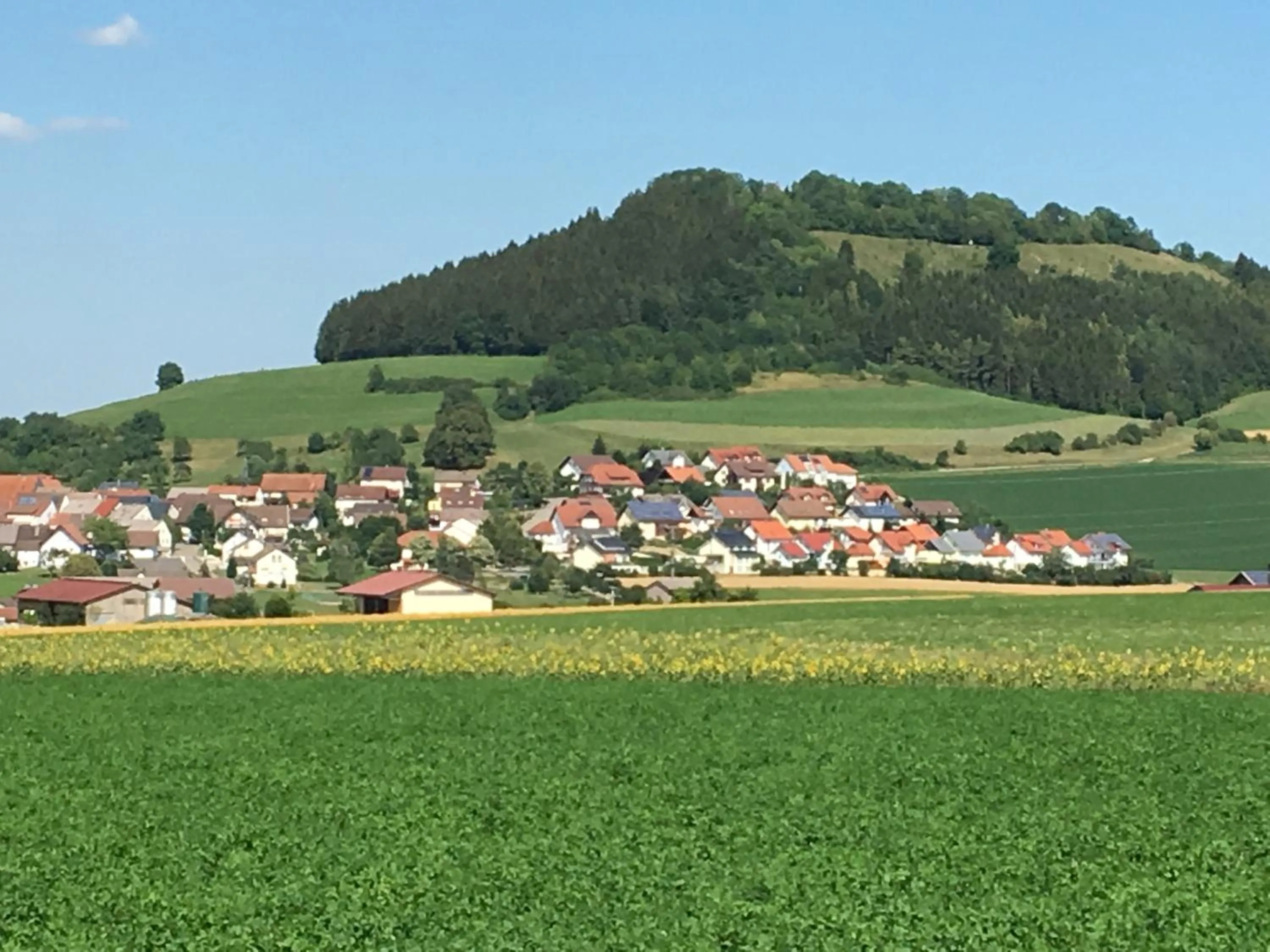 Natural landscape in Hotel Rössle