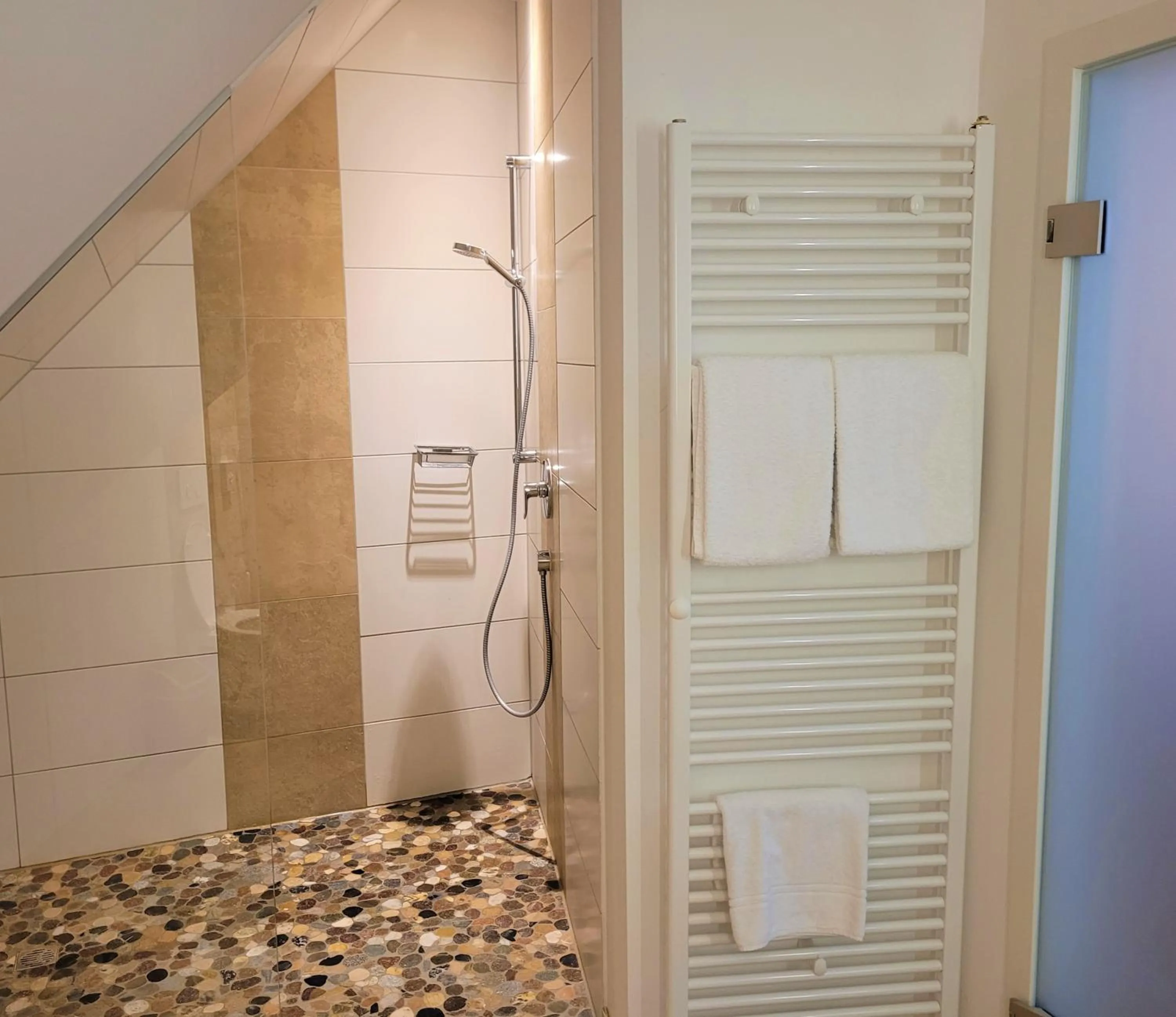 Shower in Hotel Rössle