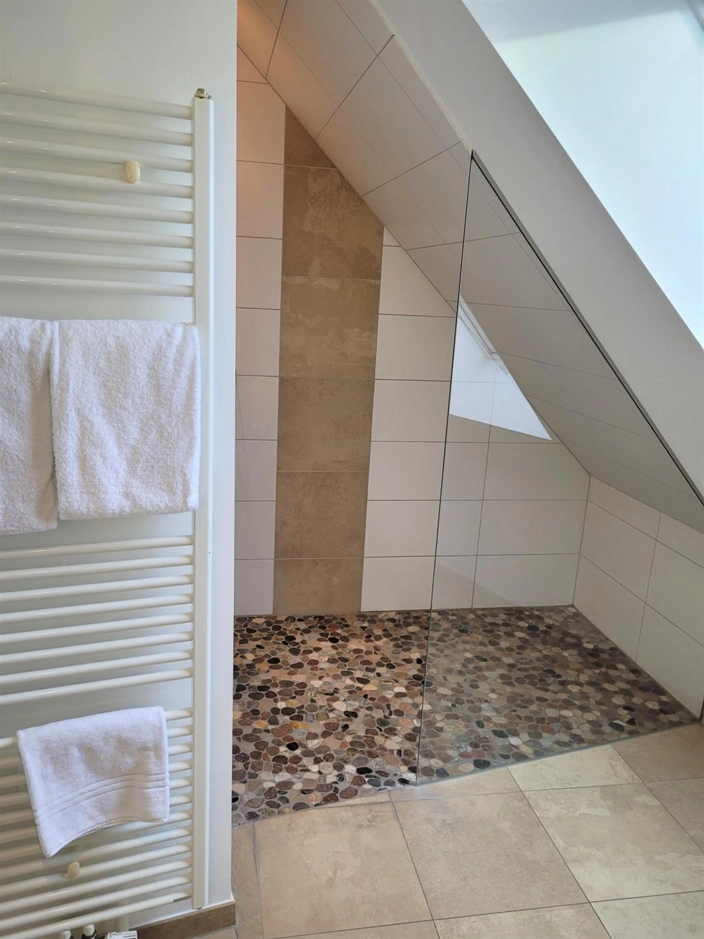 Shower in Hotel Rössle