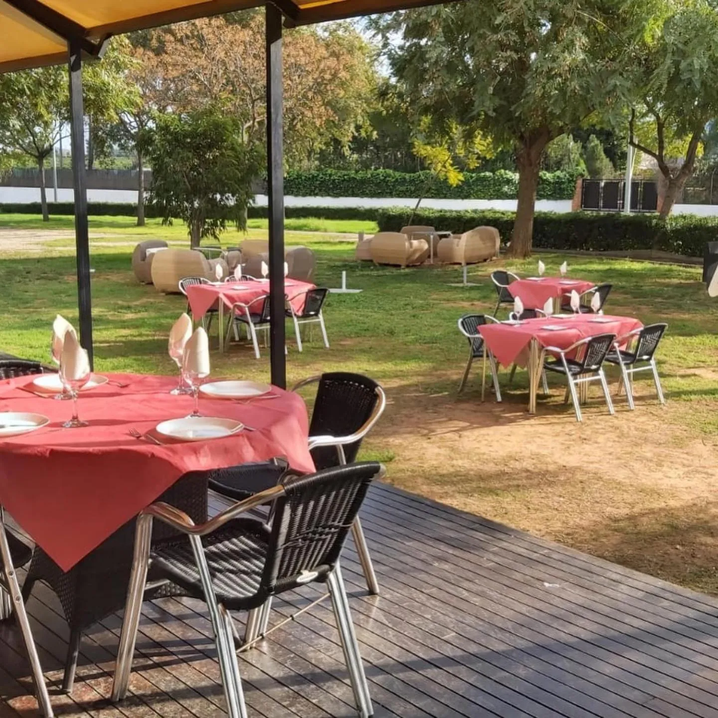 Garden in Hotel Lluna