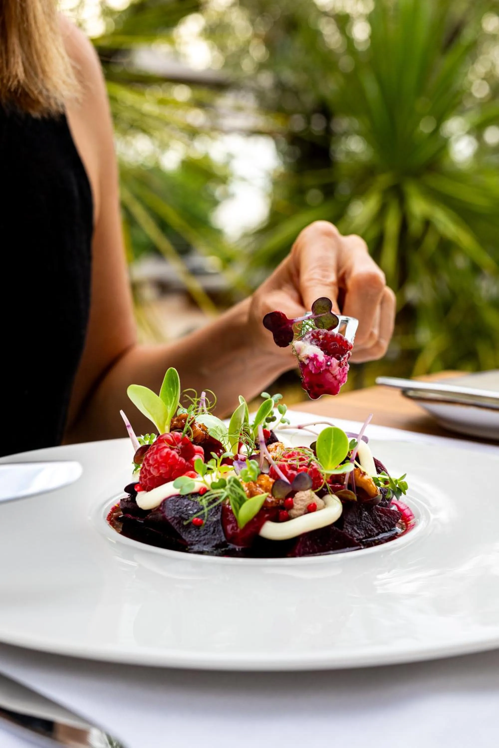 Diving in Maslina Resort