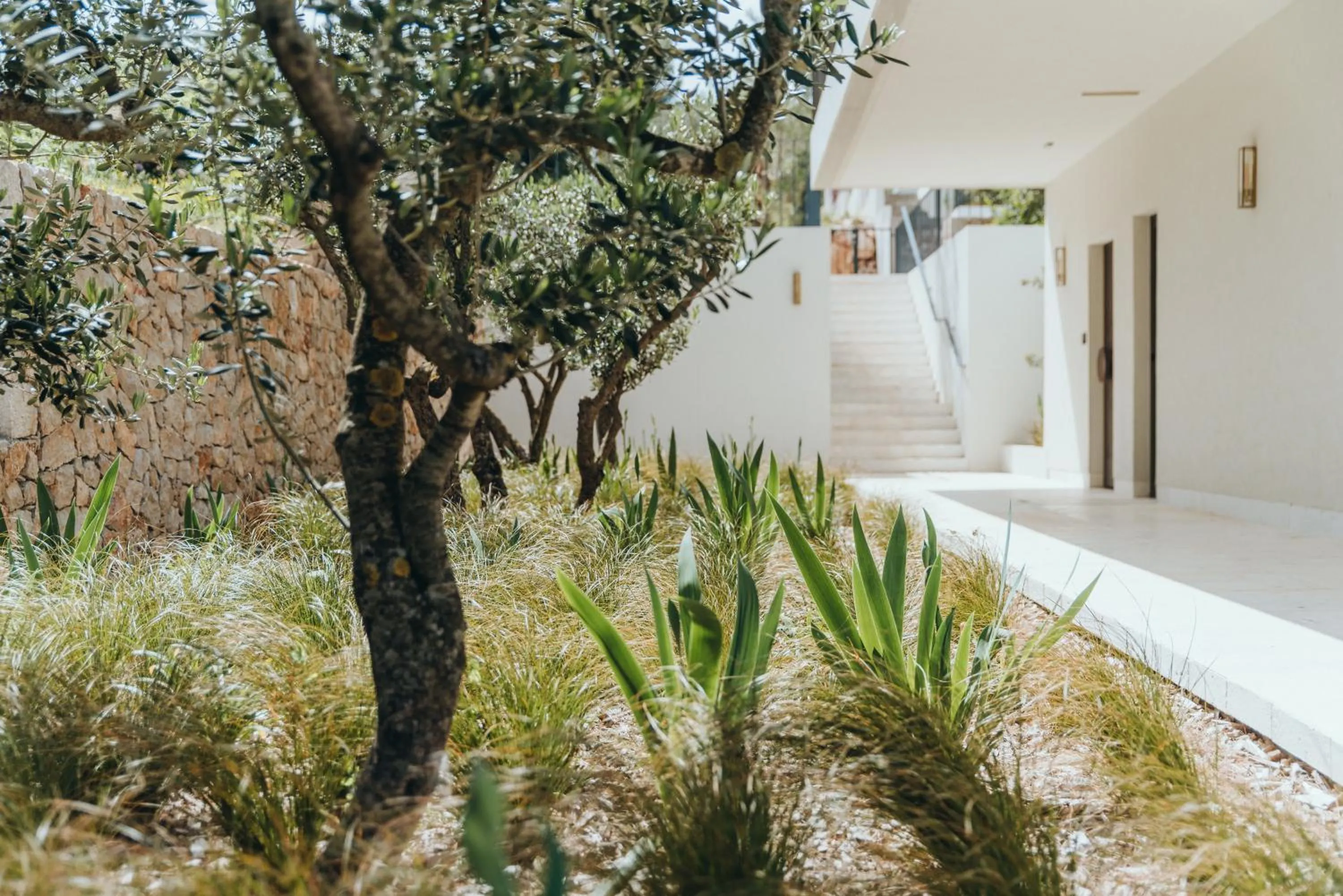 Day in Maslina Resort