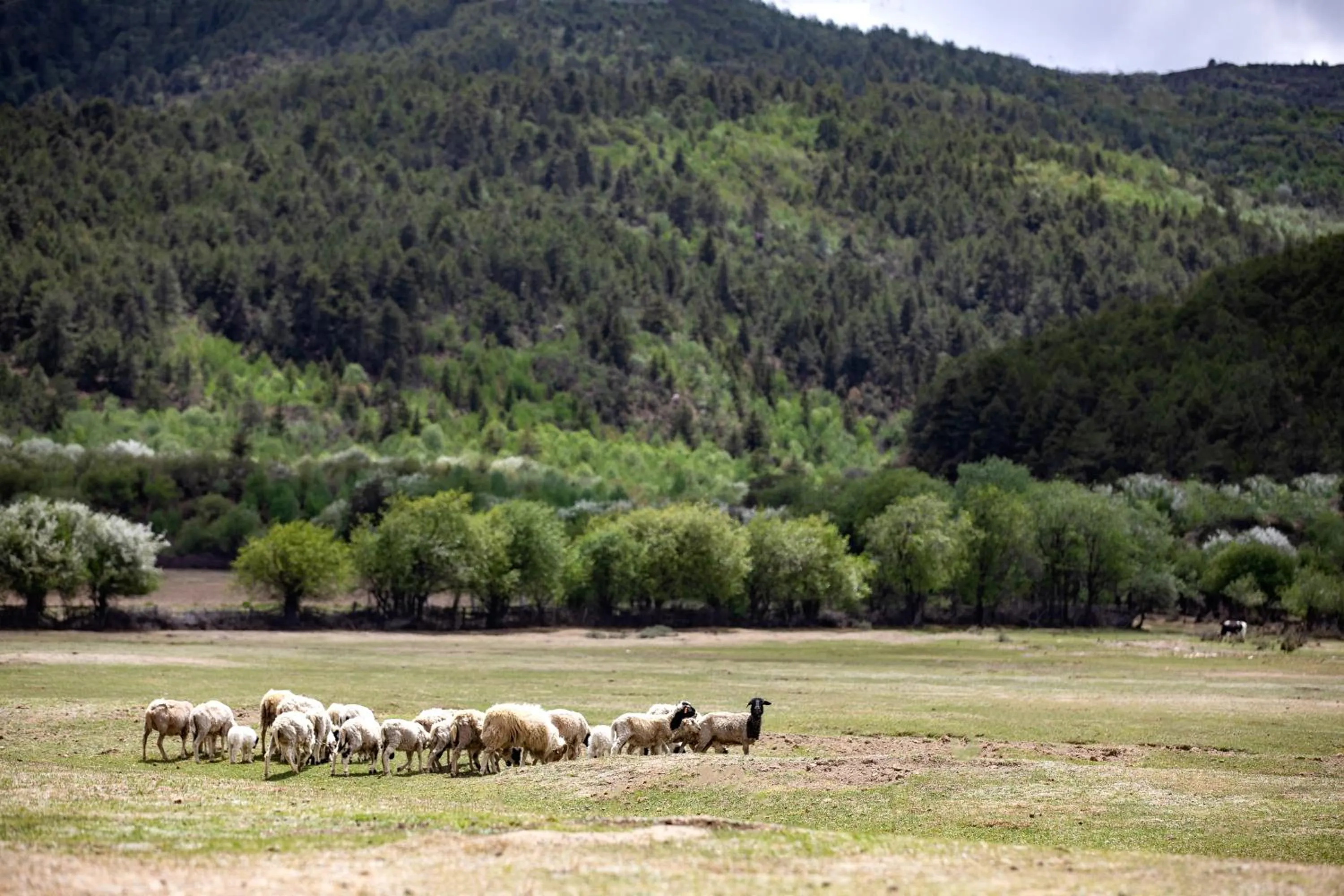 Natural landscape in Hotel Indigo Diqing Moonlight City by IHG
