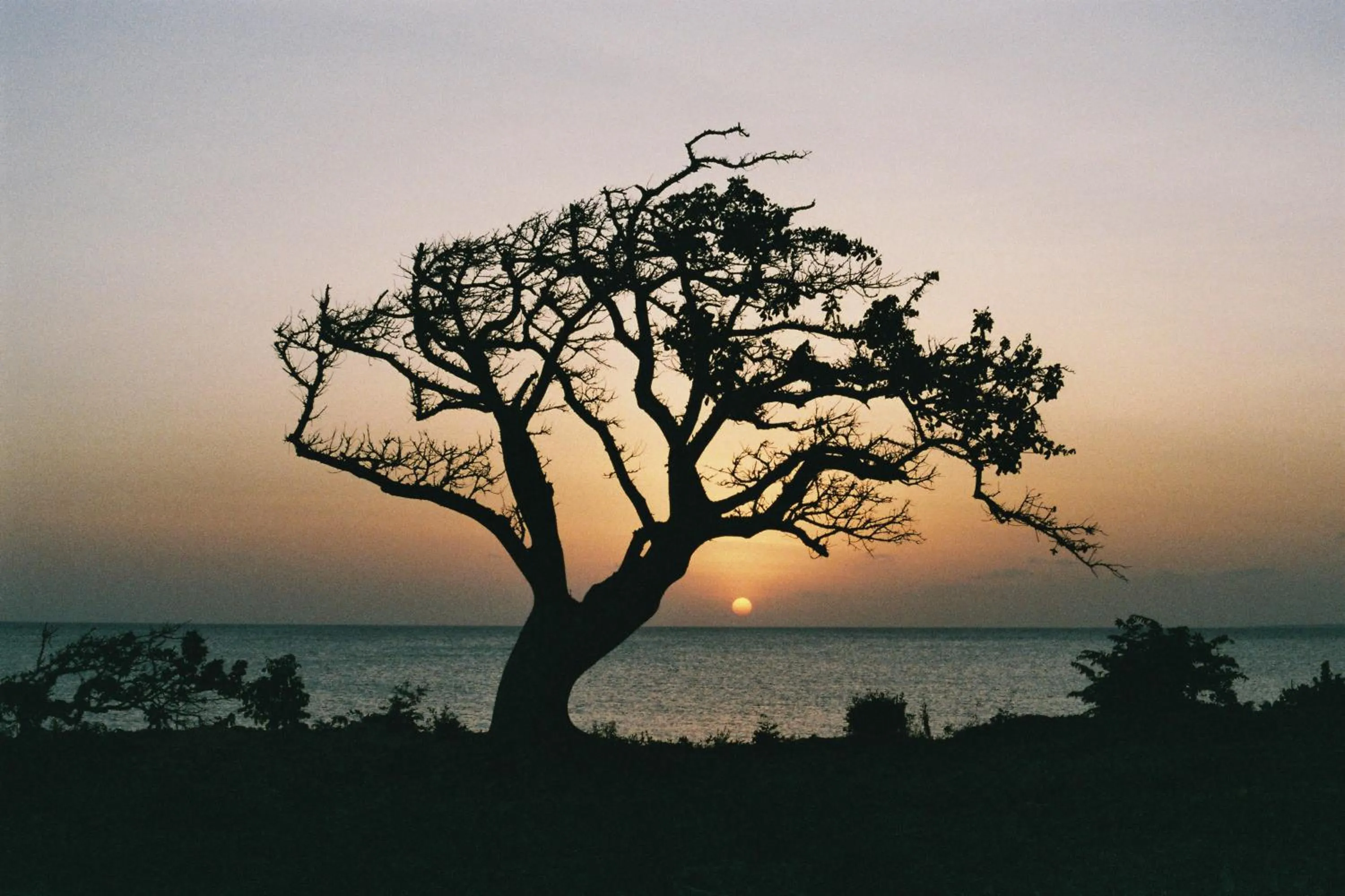 Sea view in Kizikula