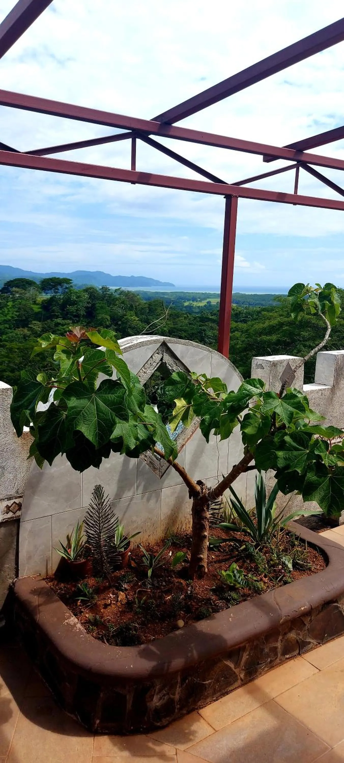 Garden in El Castillo Monte Campana