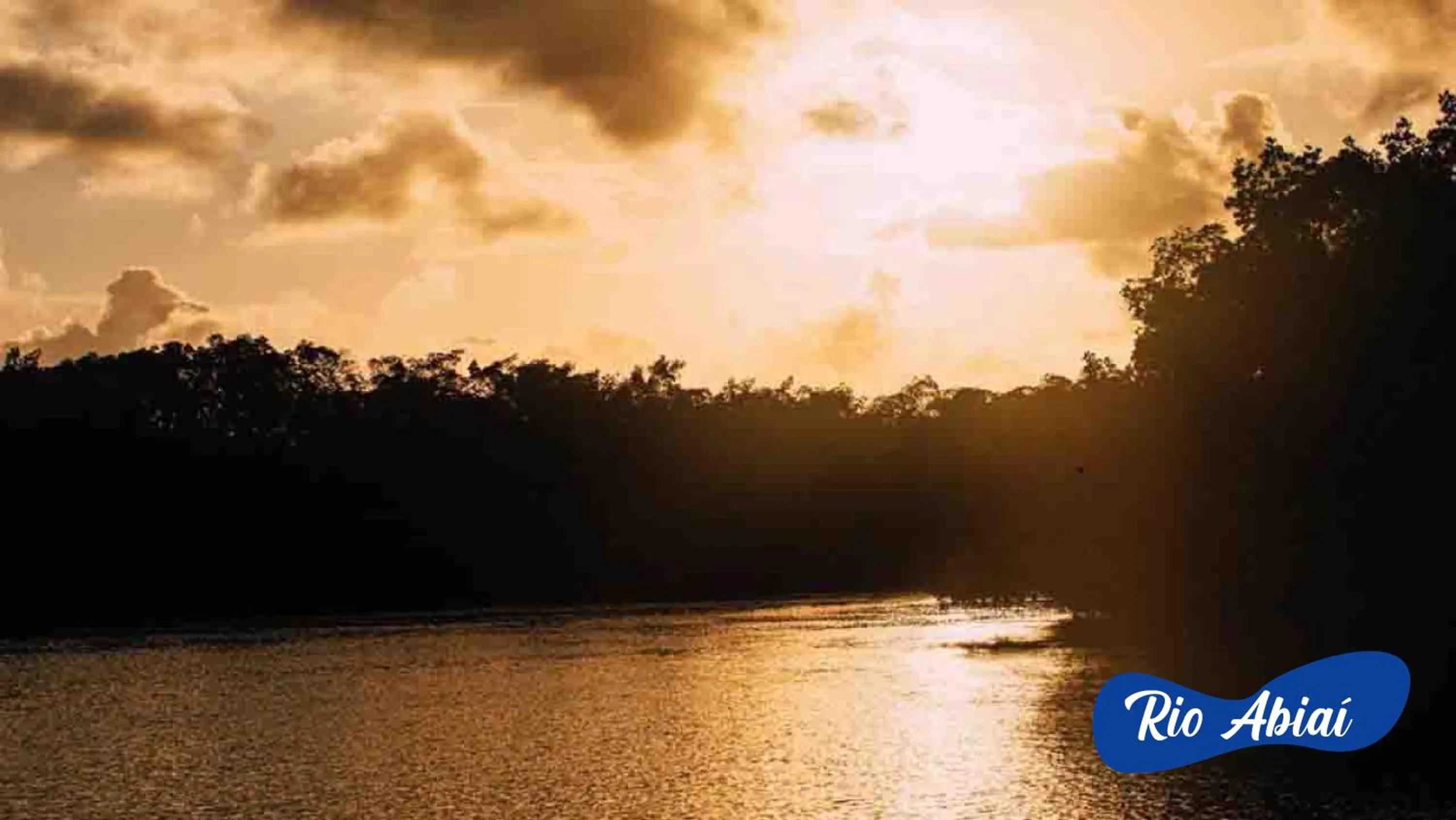 Natural landscape in Asenza Beach Resort All Inclusive