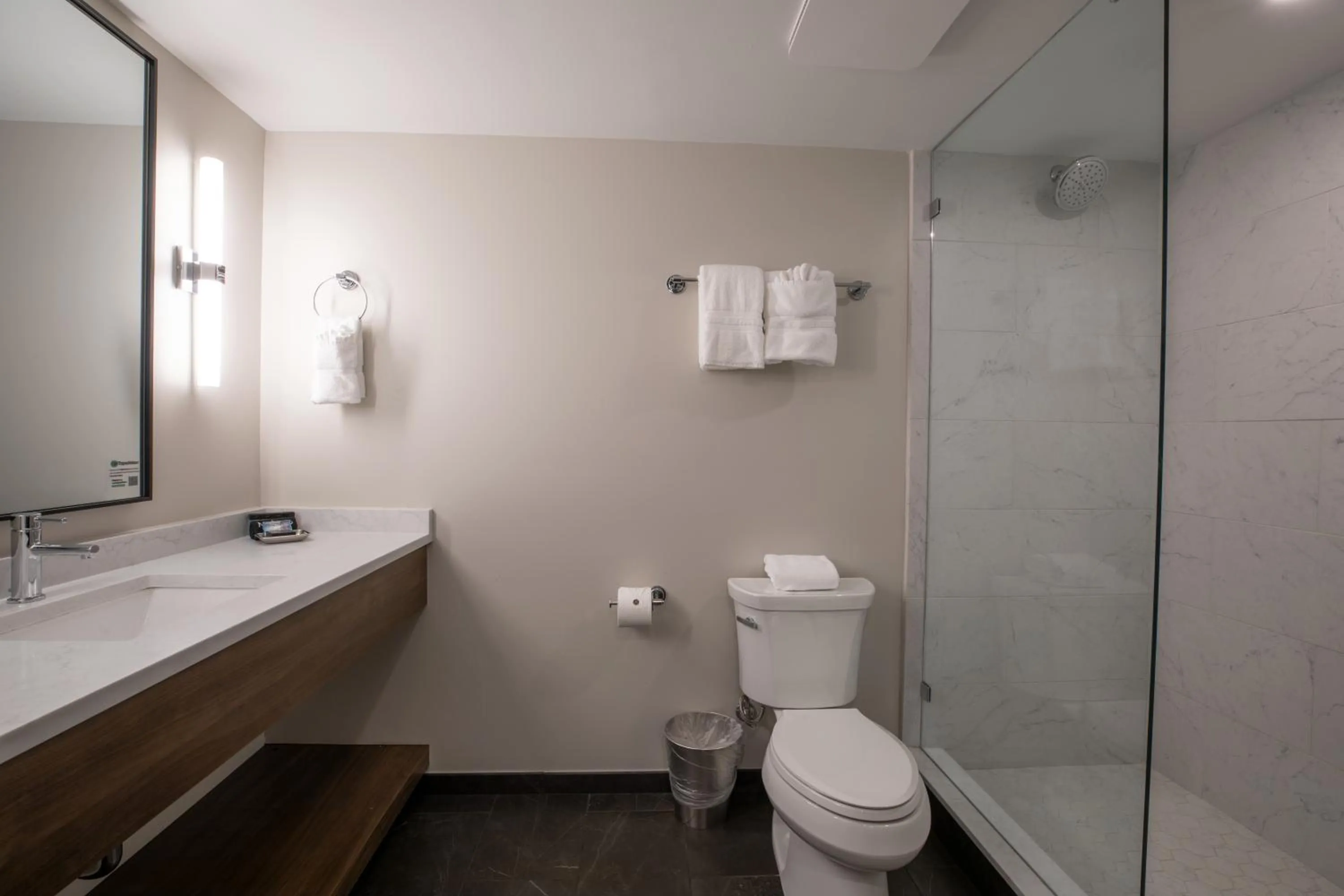 Bathroom in The Bee Hotel, Danville