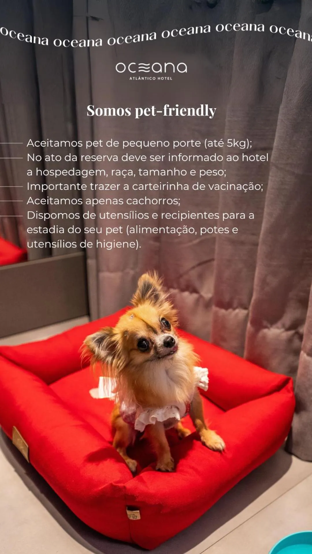 Property building in Oceana Atlântico Hotel & SPA