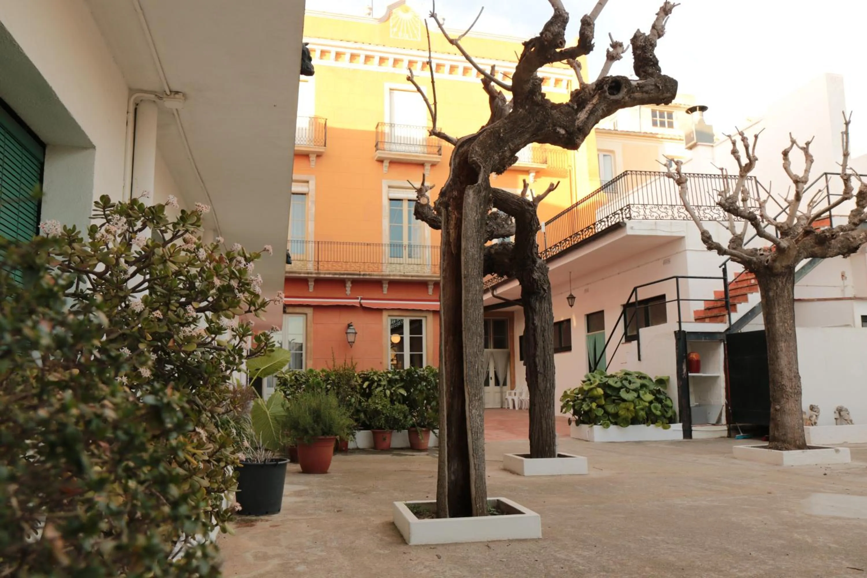 Garden in Hostal Plaja i Pati de Can Plaja