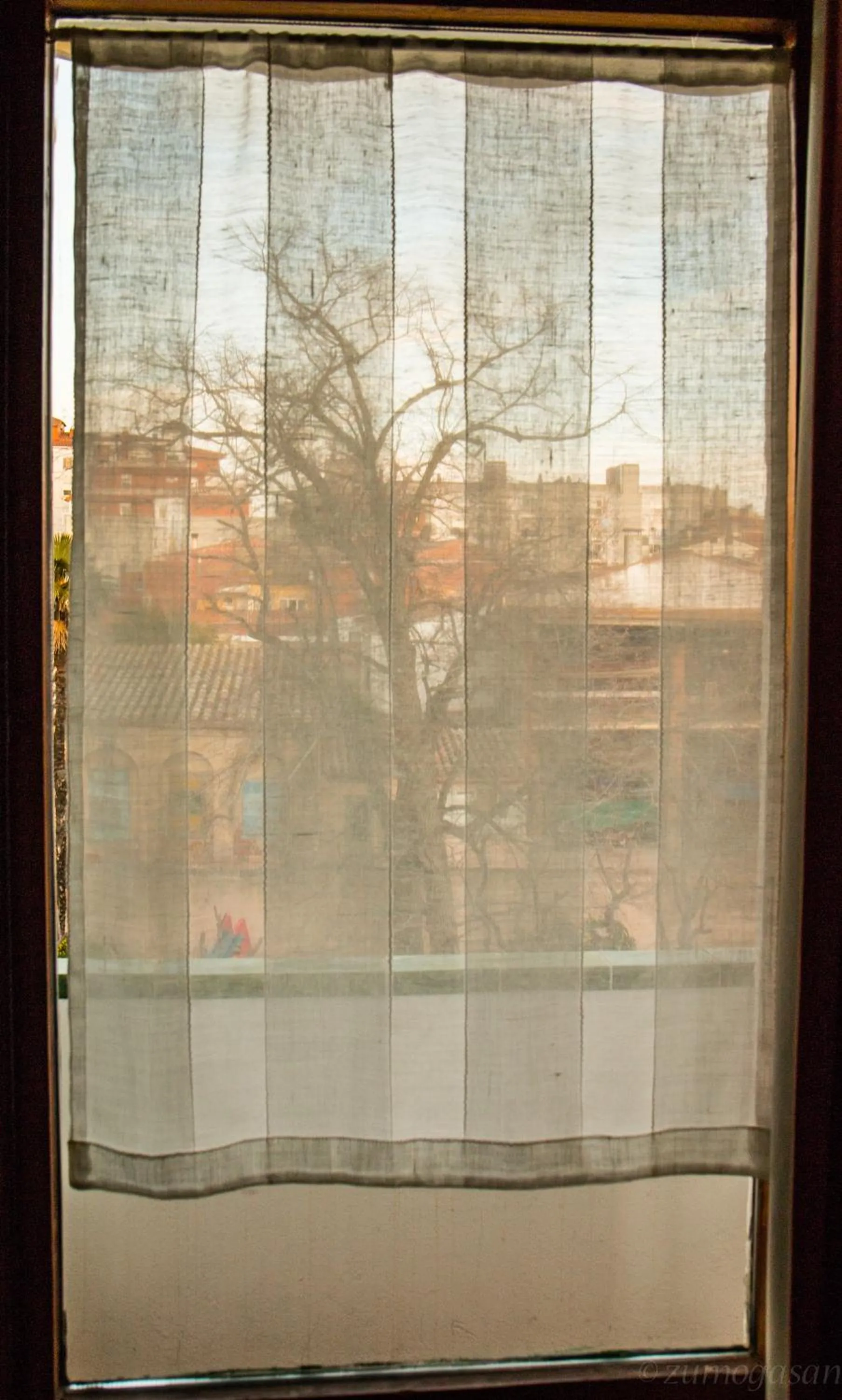 Garden in Hostal Plaja i Pati de Can Plaja