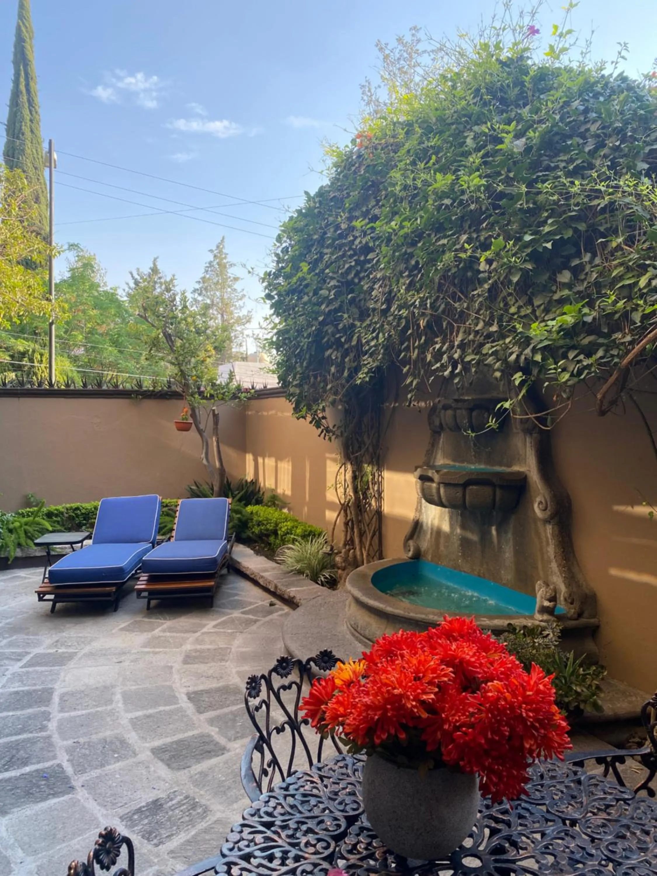 Patio in Casa Grande Luxury Boutique Hotel