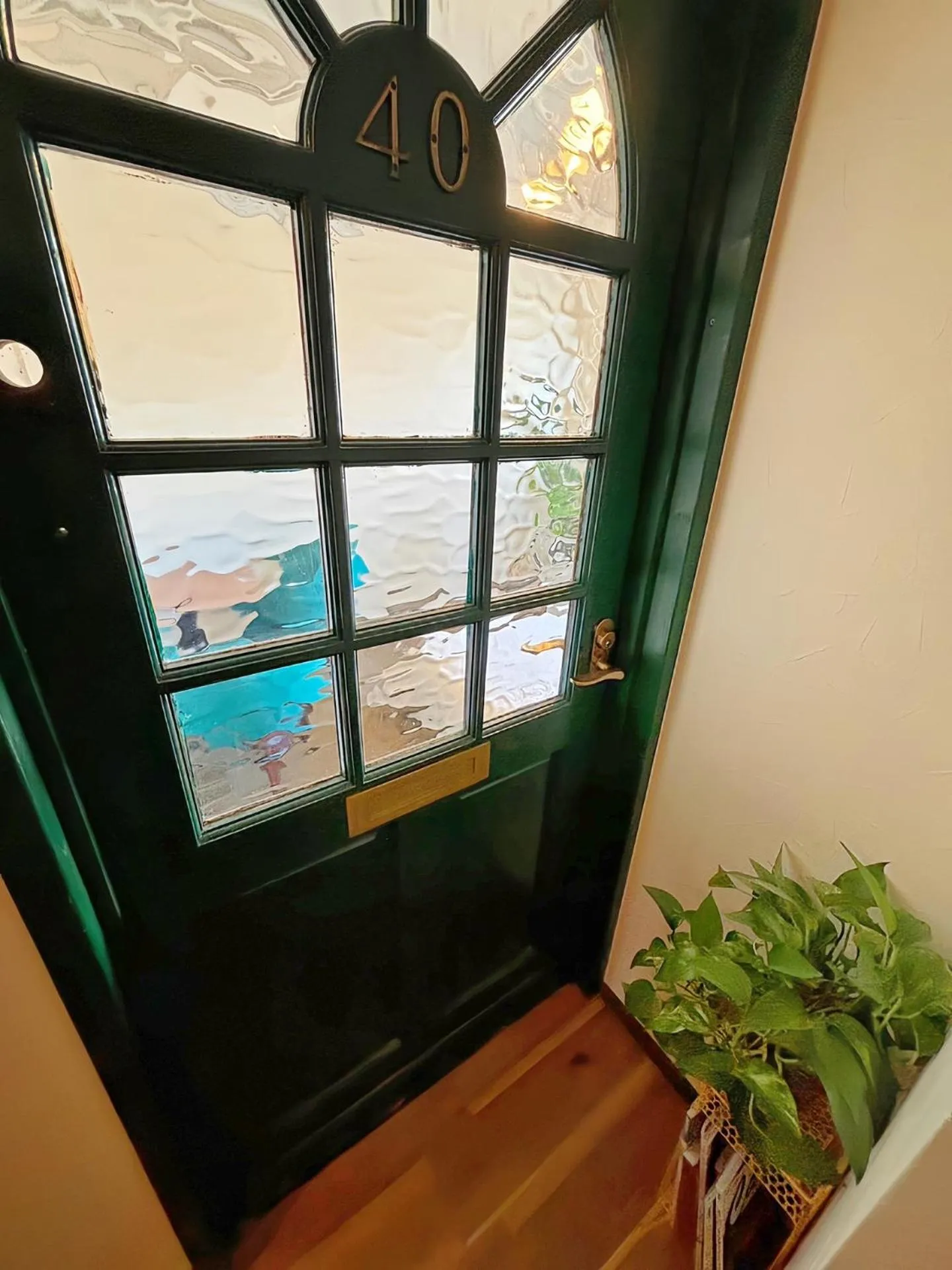 View (from property/room) in HOSTEL CHILLAX